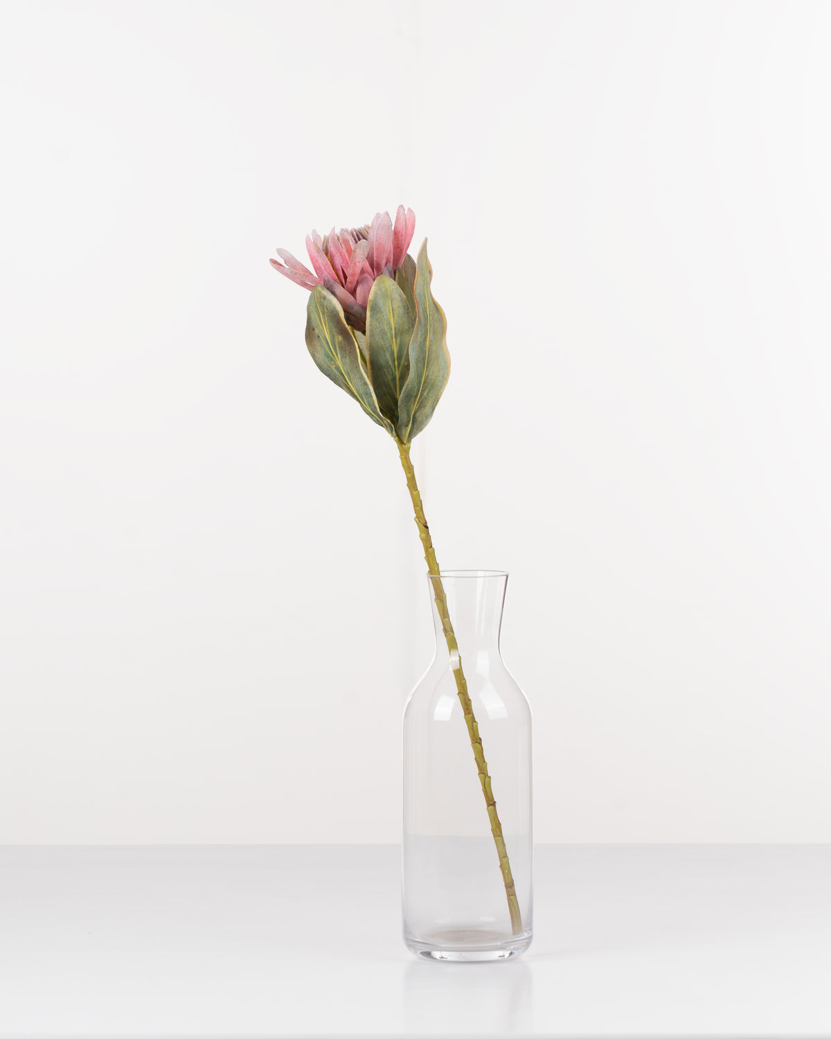 Cape Protea Spray | Pink
