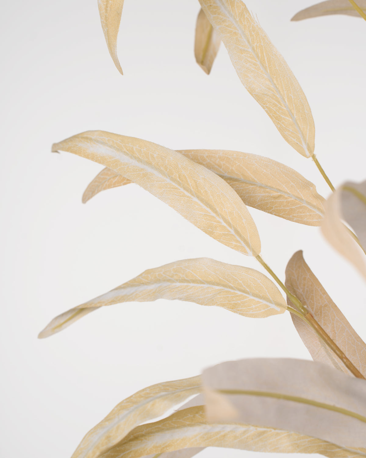 Ivory Eucalyptus Spray