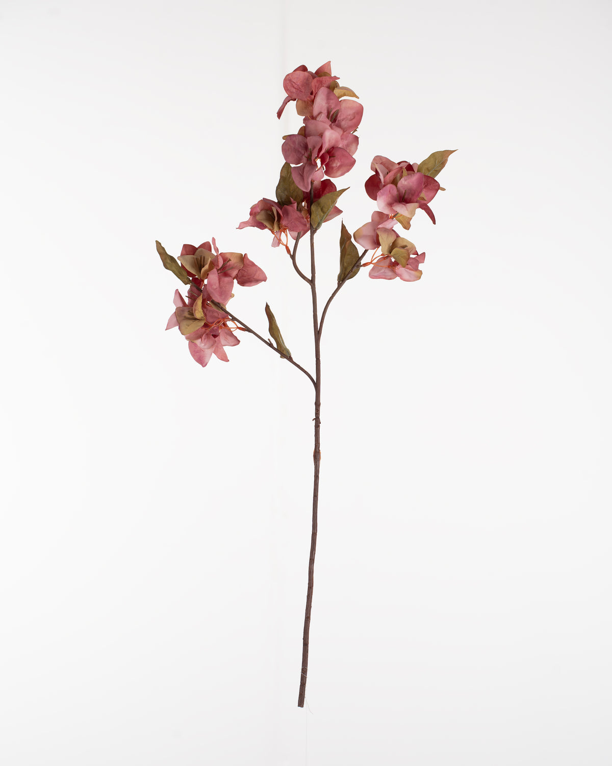 Vintage Bougainvillea Spray