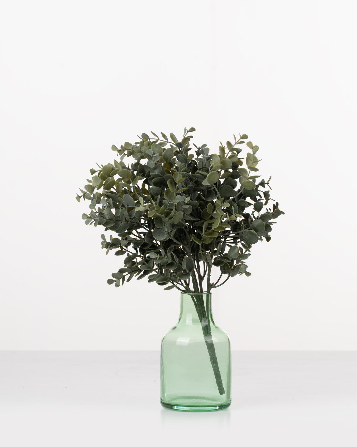 Silverleaf Eucalyptus Bush