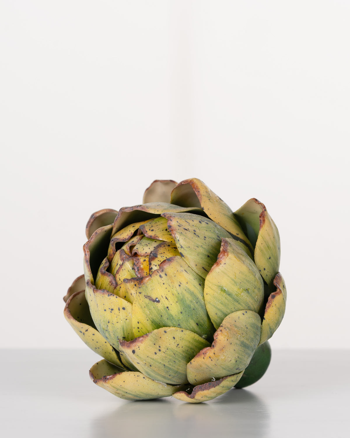 Garden Artichoke | Green