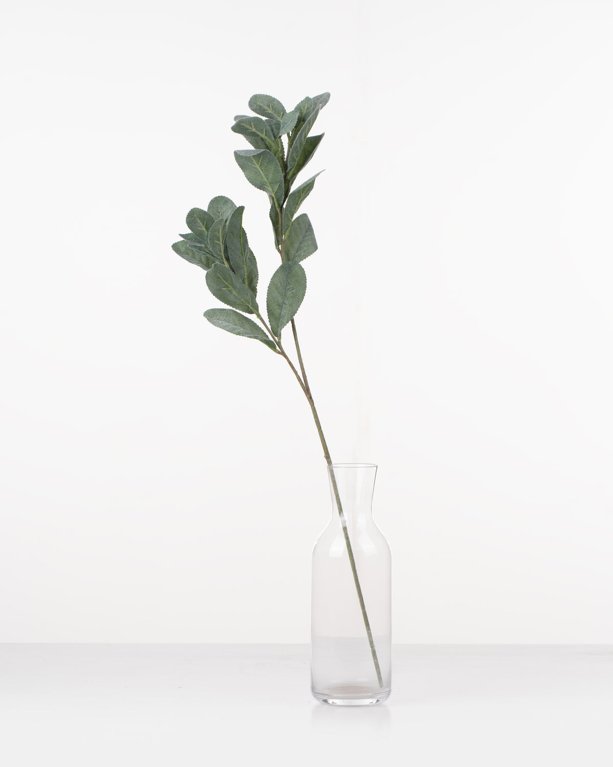 Lamb’s Ear Spray