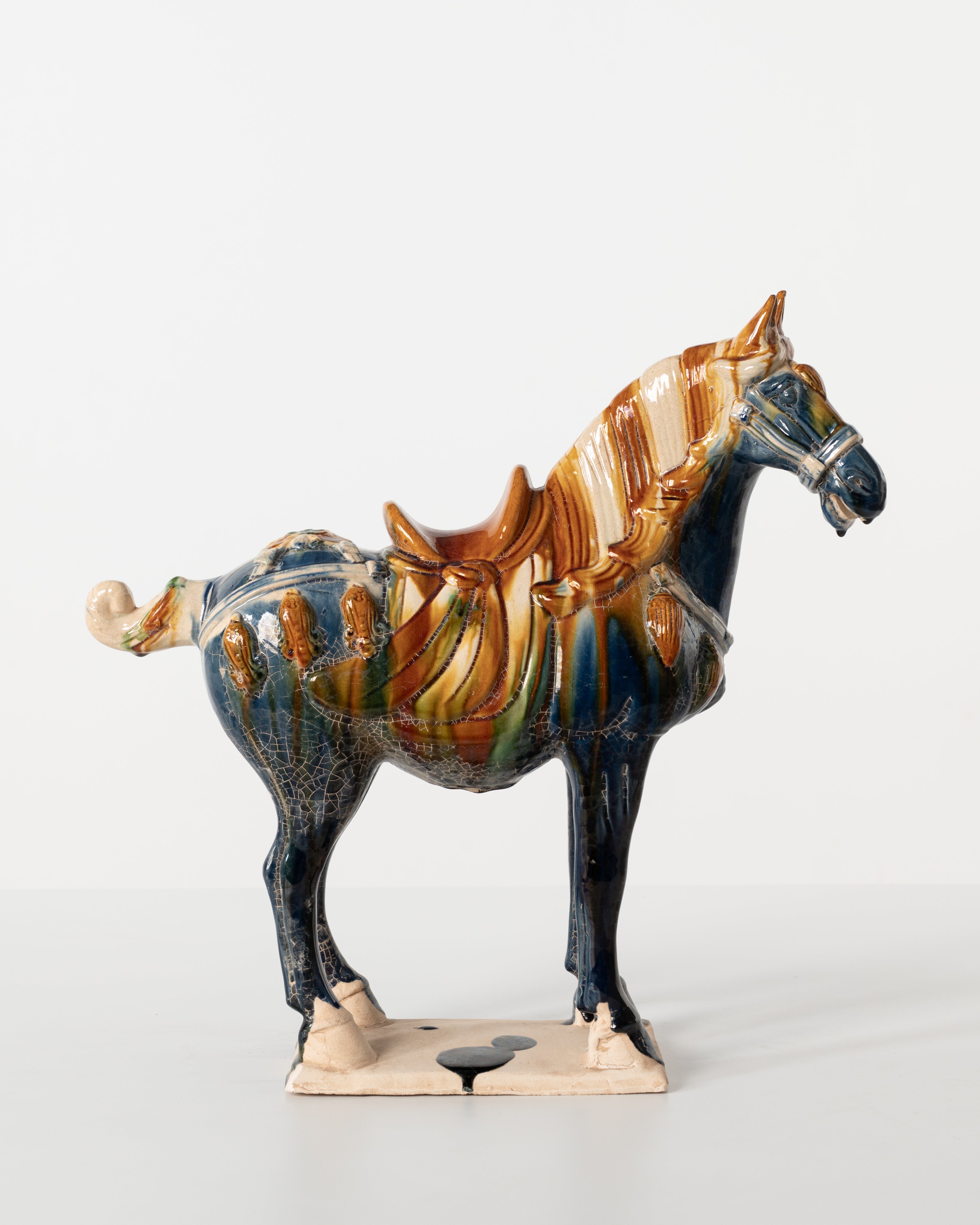 HORSE ANT MULTI COLOUR