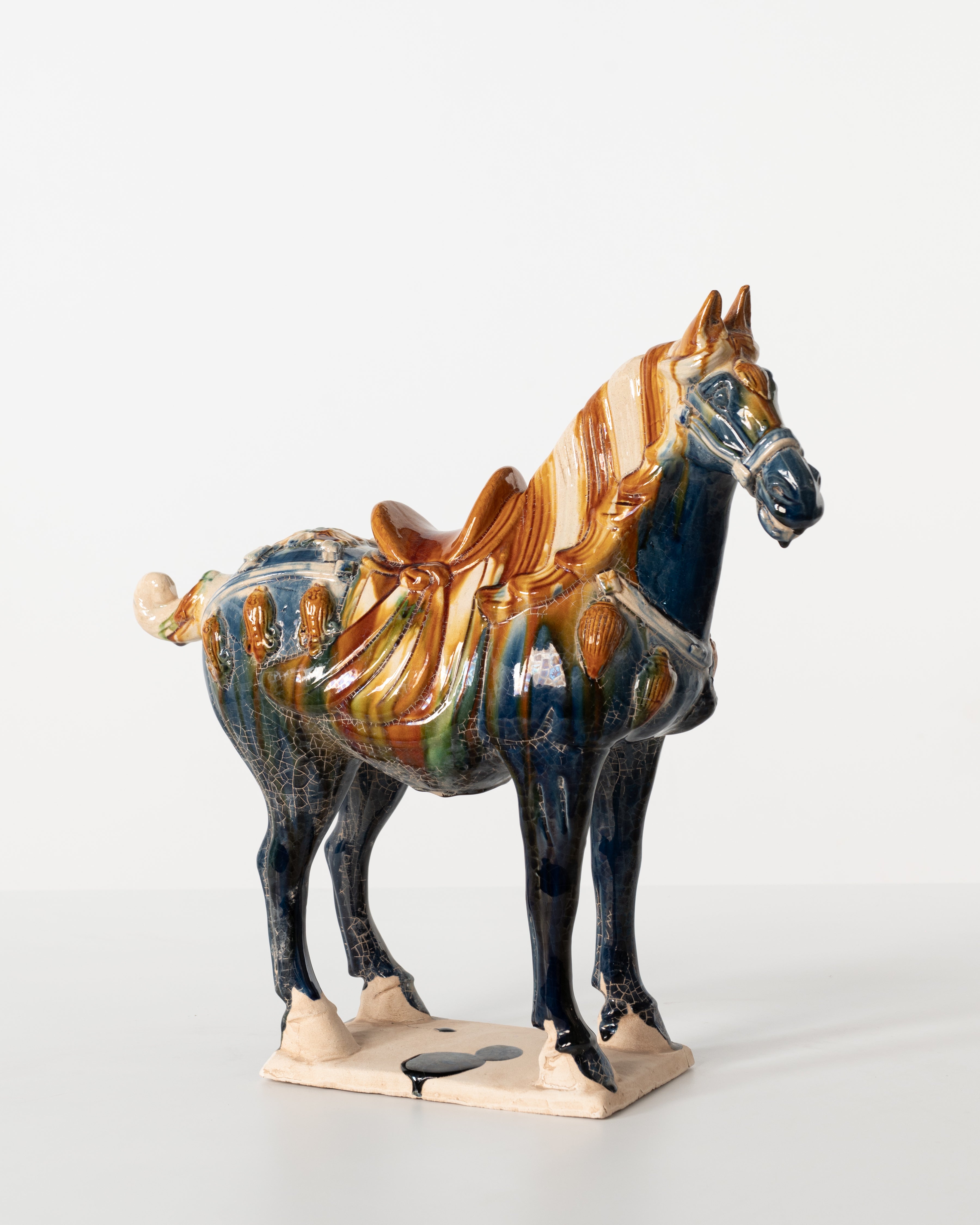 HORSE ANT MULTI COLOUR