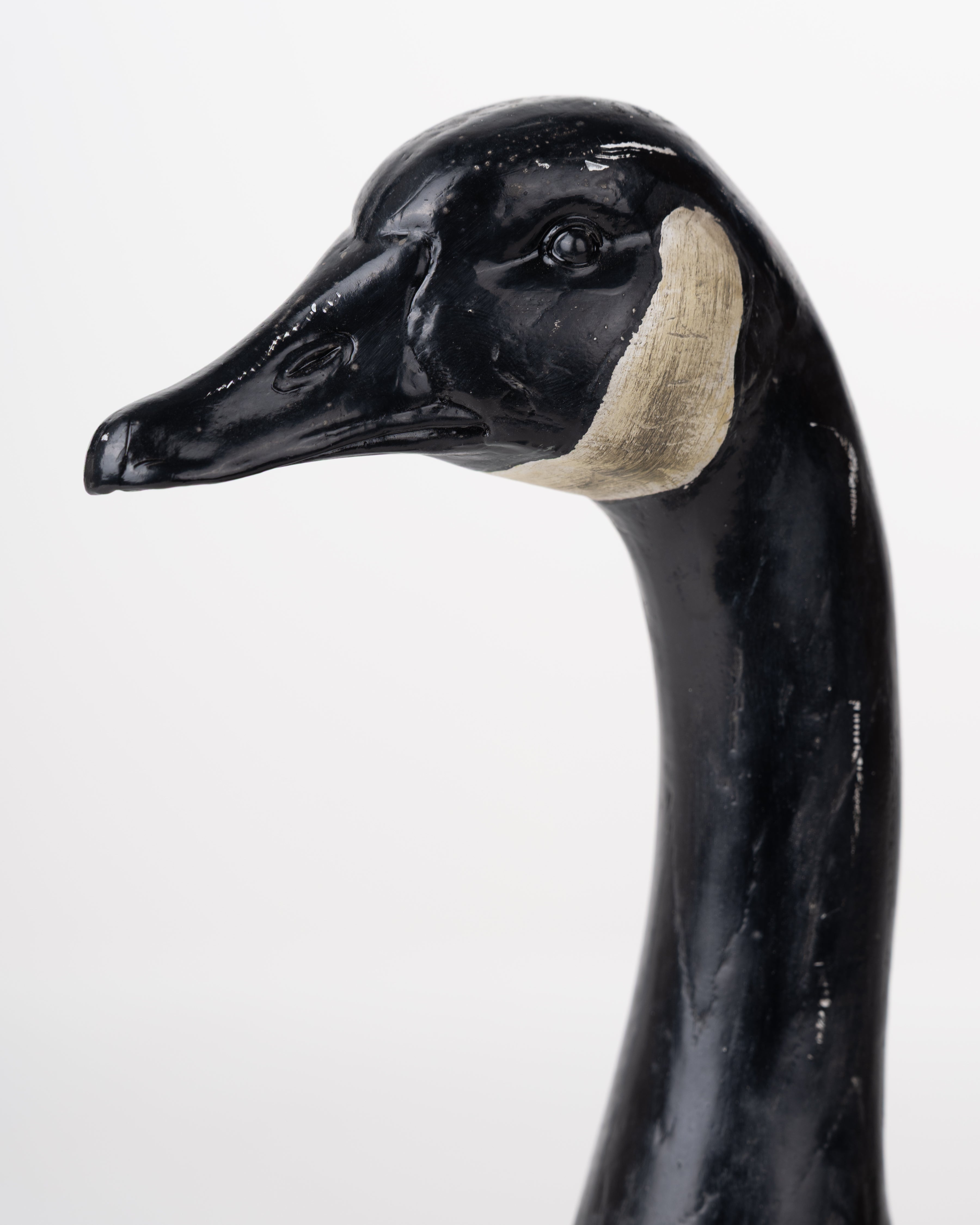 SWAN BLACK&GREY