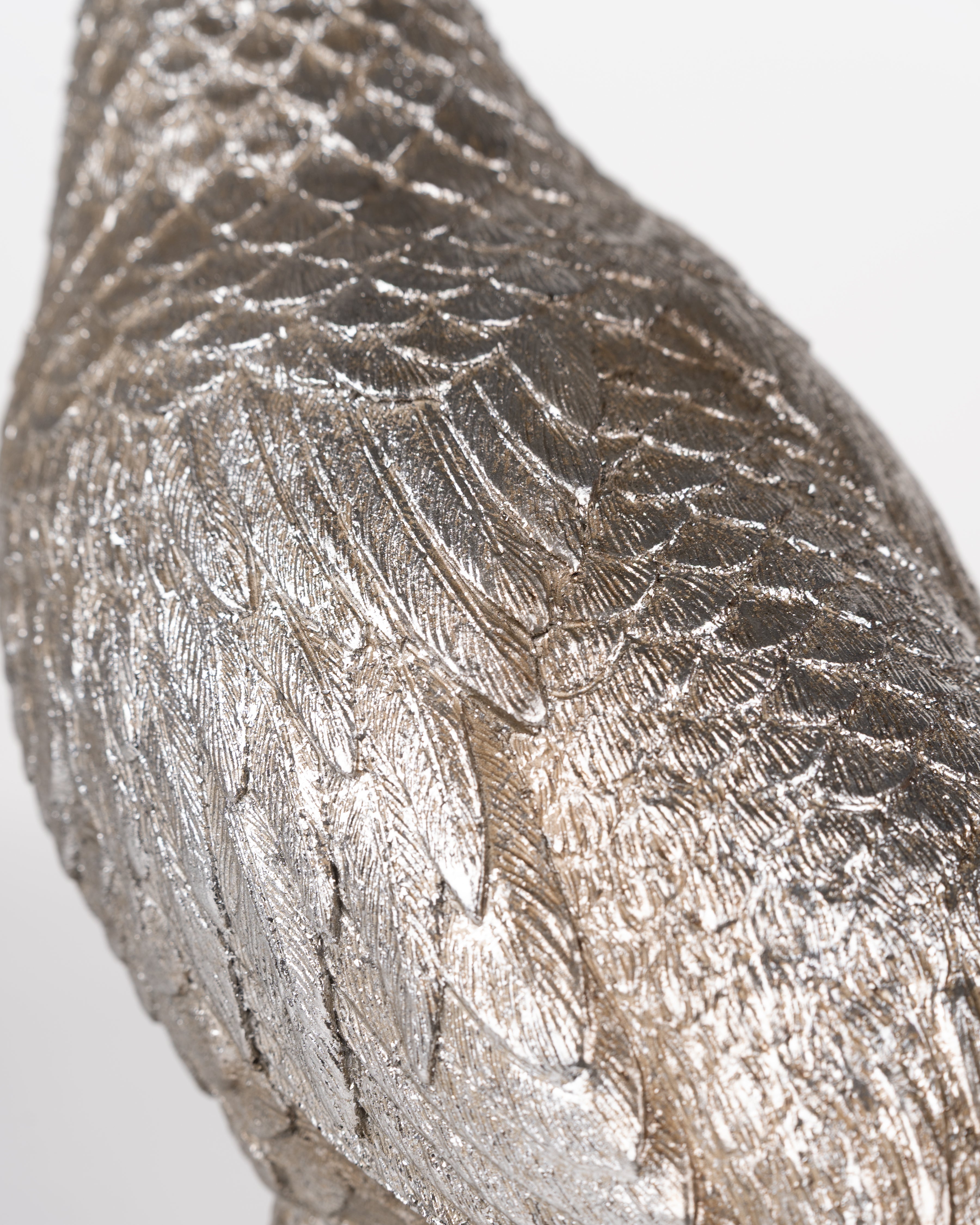 Silver Feather Pheasant