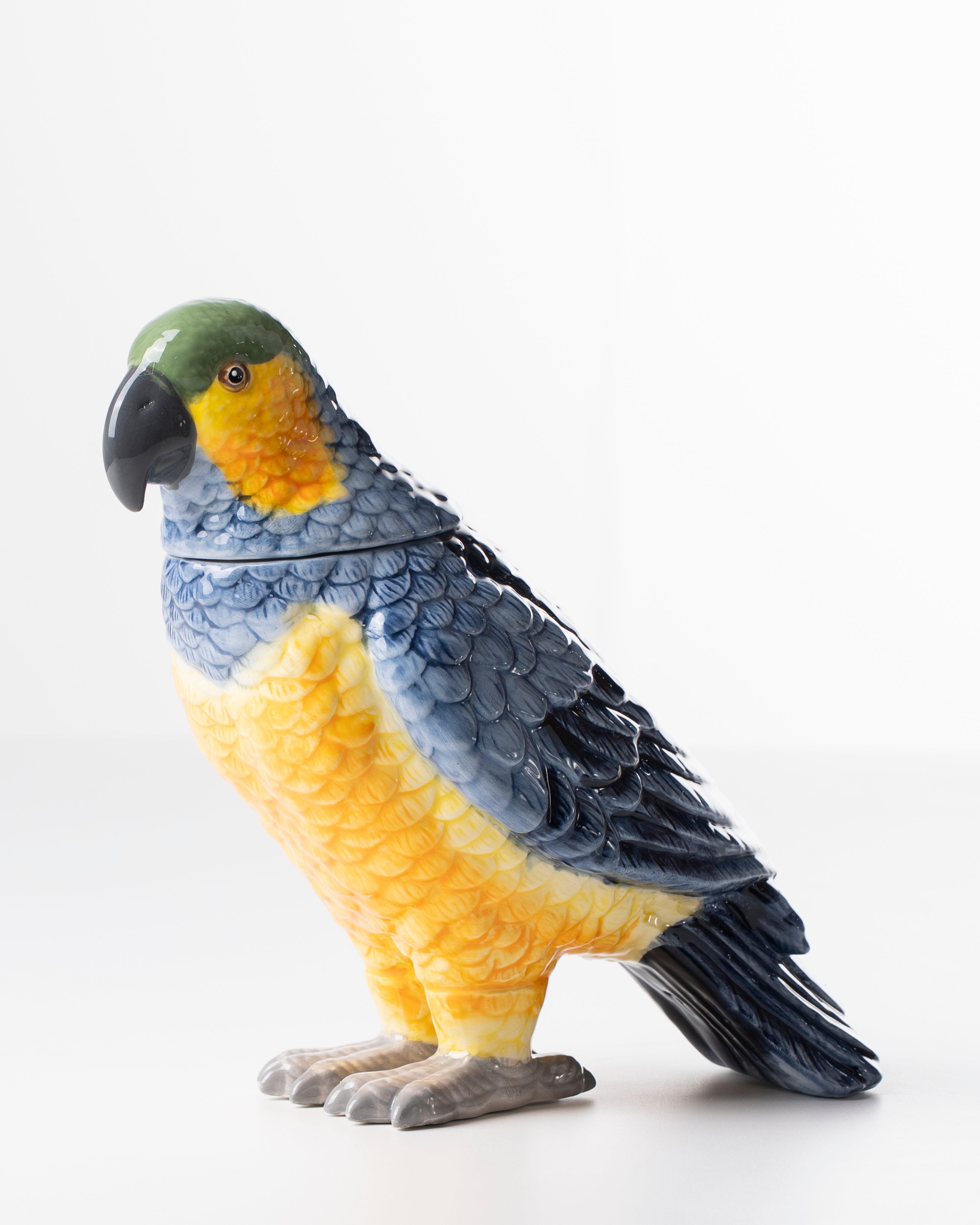 Ceramic Parrot