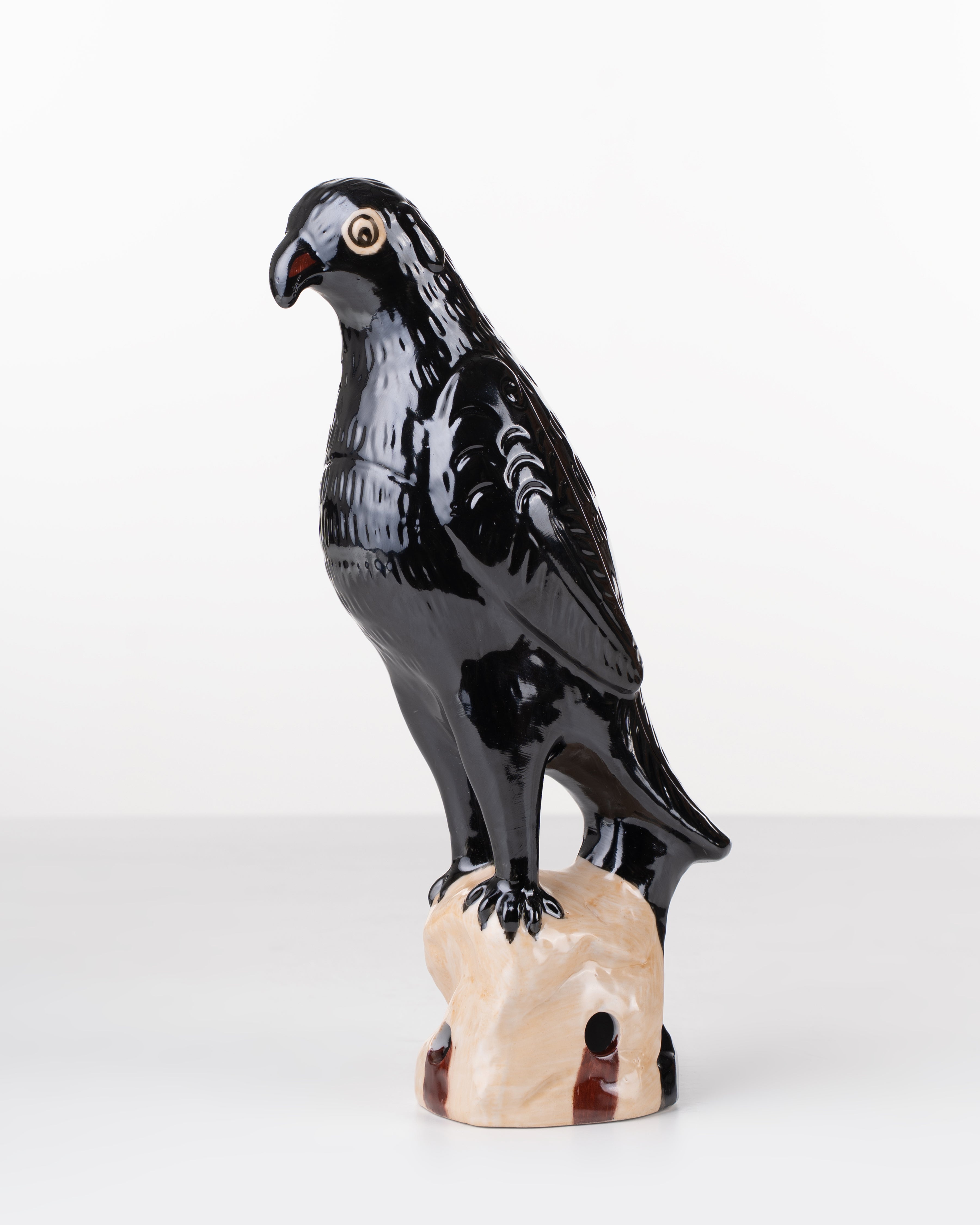 Black Ceramic Parrot