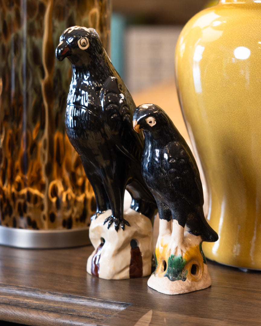 Black Ceramic Parrot