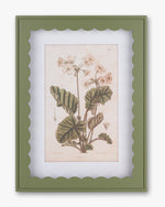 Scalloped Botanical Wall Art