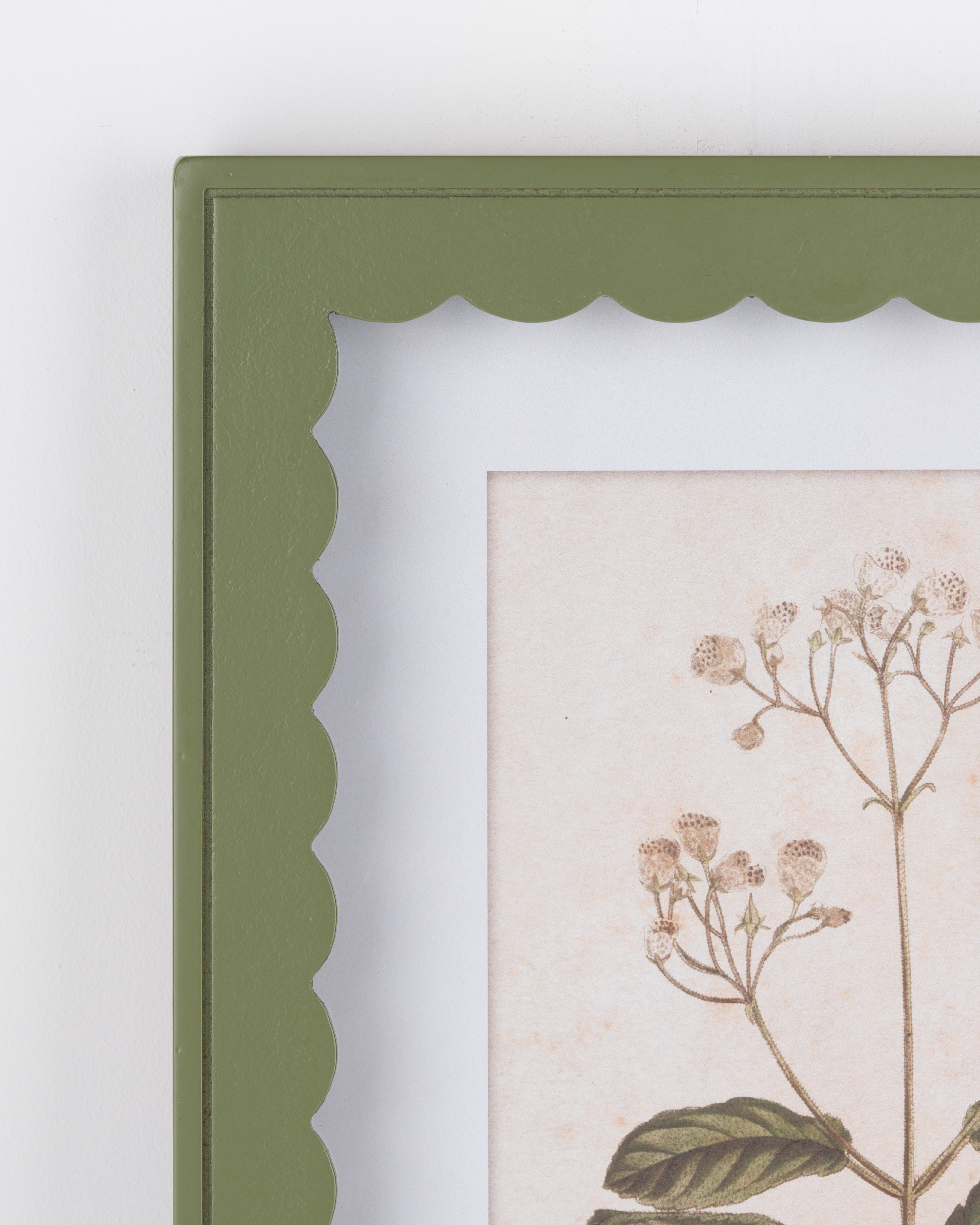 Scalloped Botanical Wall Art