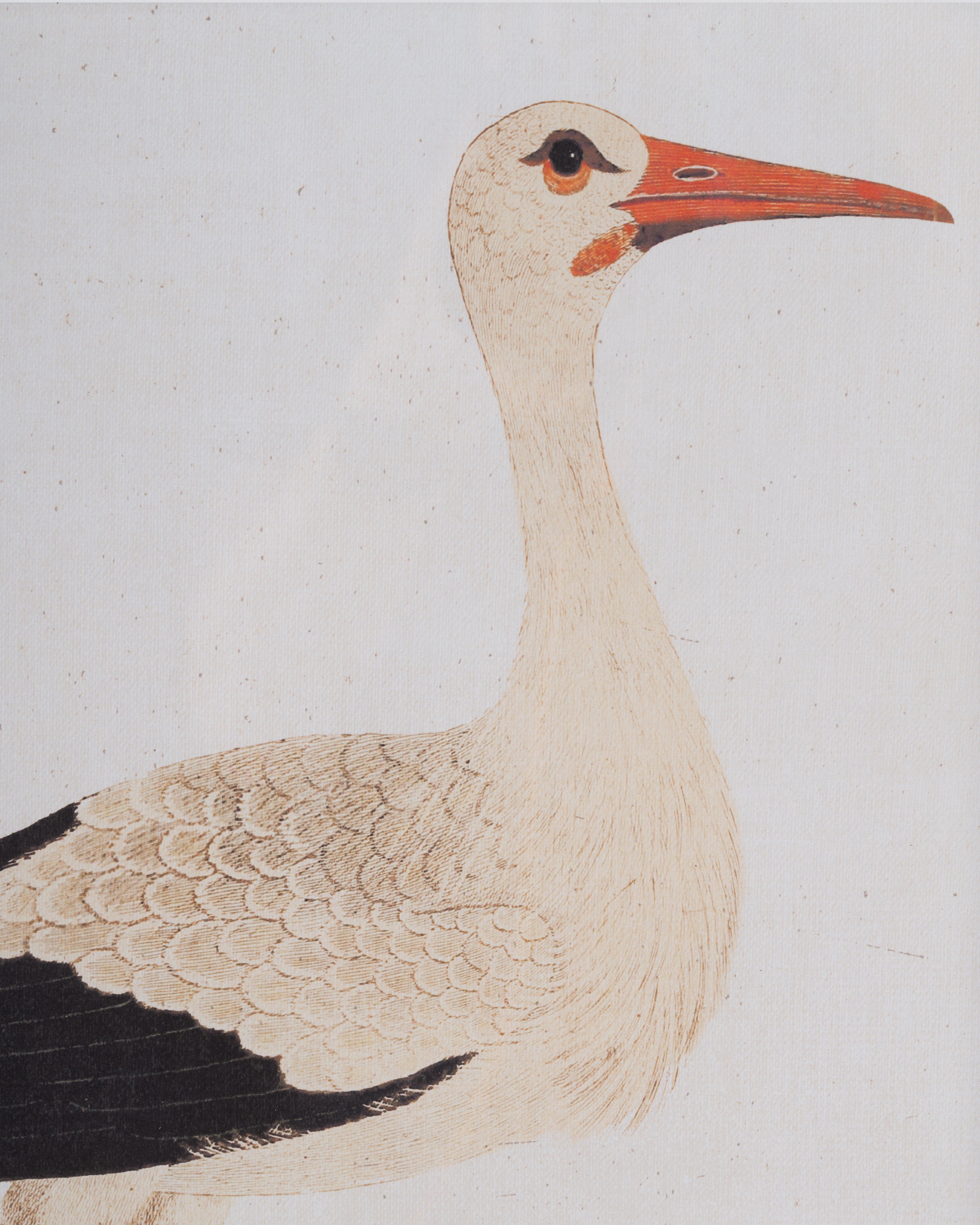 Stork Wall Art
