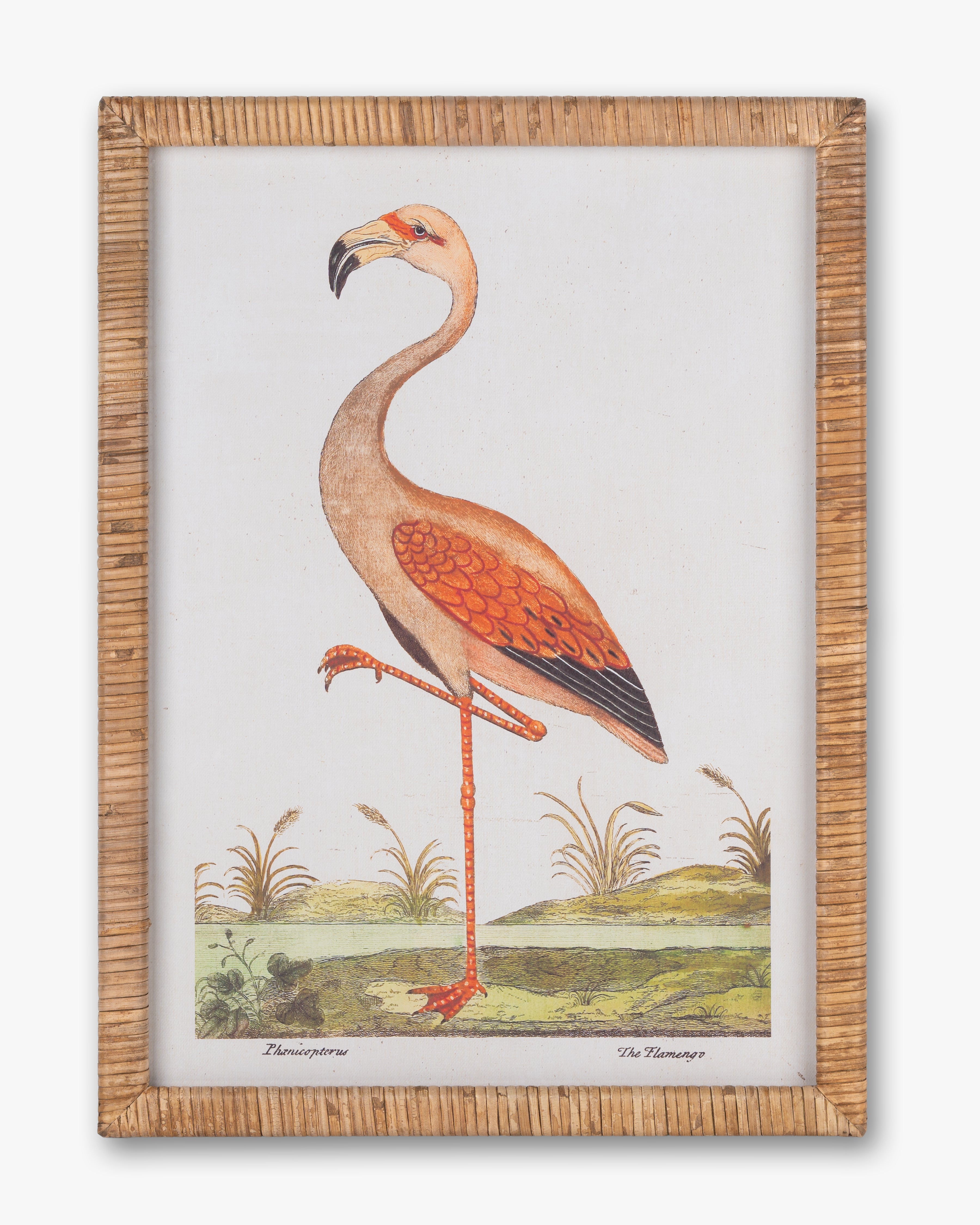 Flamingo Wall Art