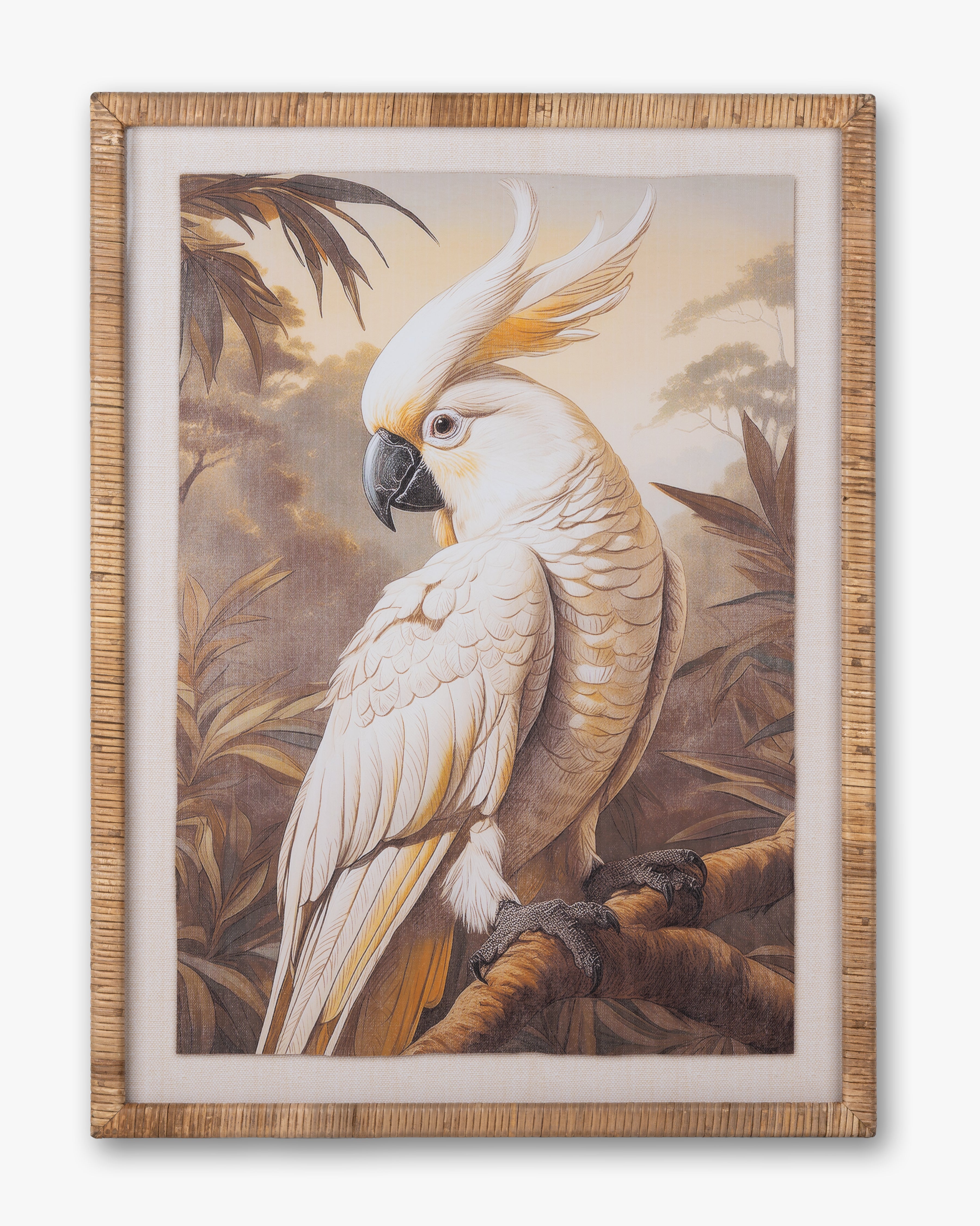 White Parrot Wall Art