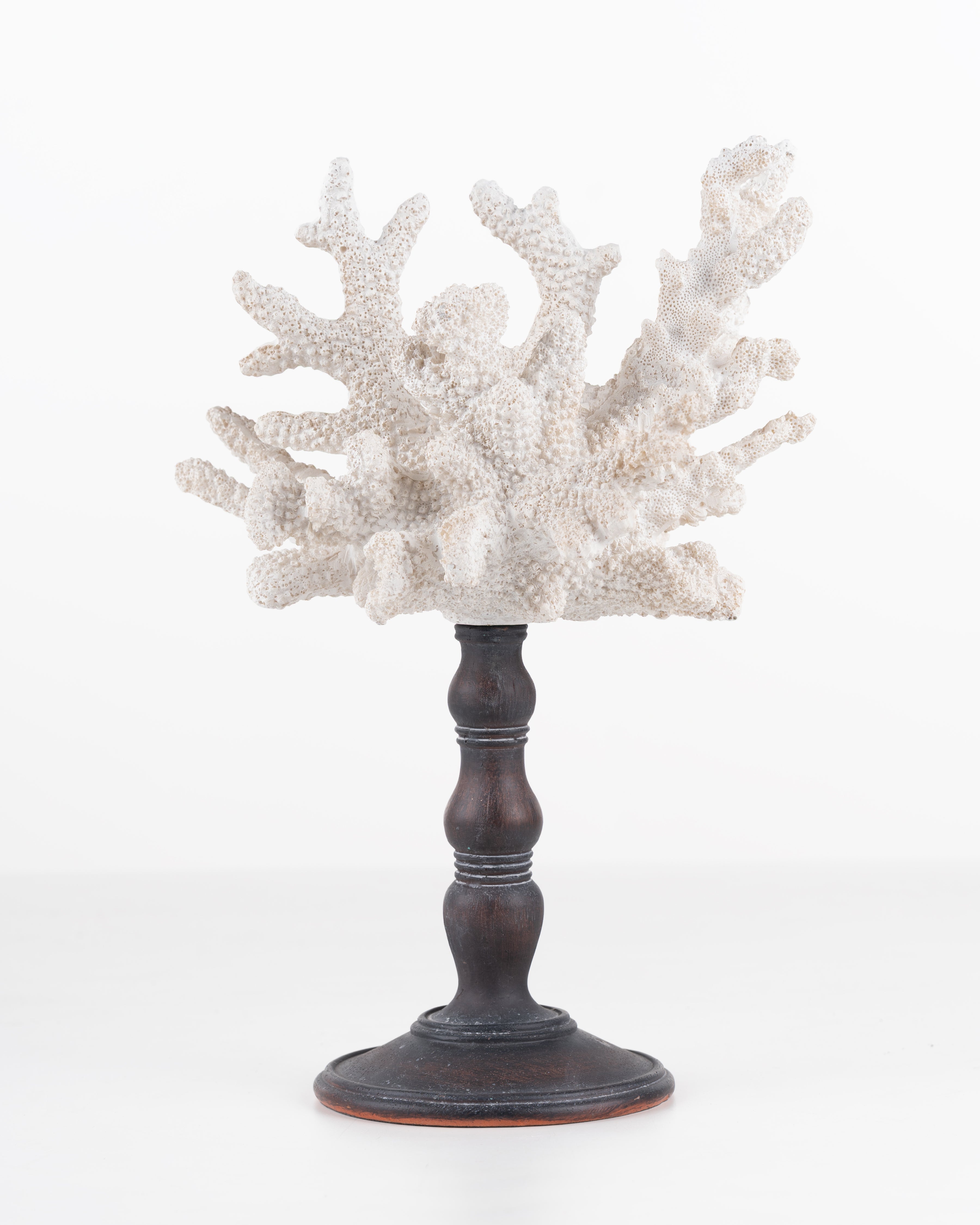 Faux Coral On Stand