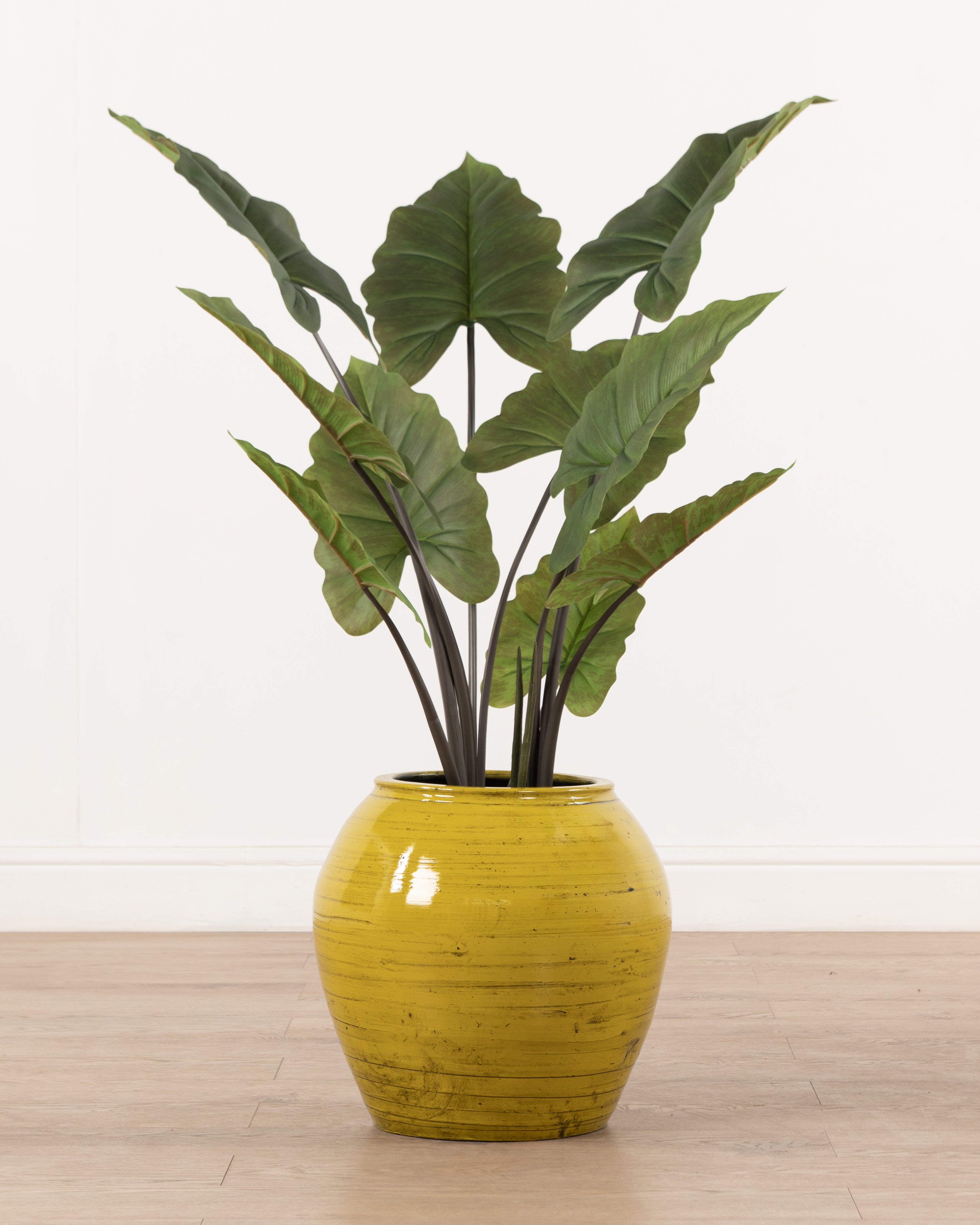 Indochine Wuxi Pot | Yellow