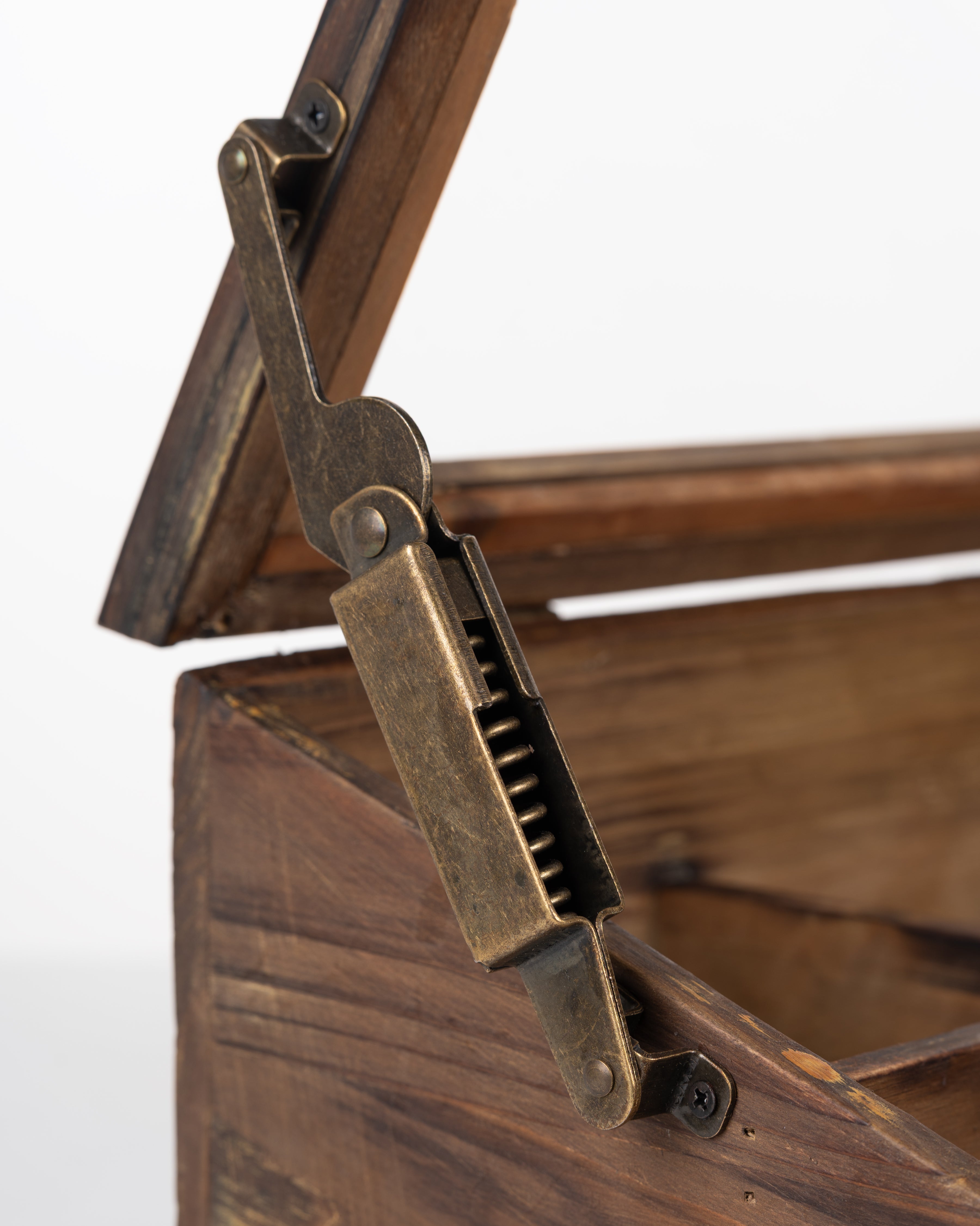 Greenhouse Terrarium Display Chest