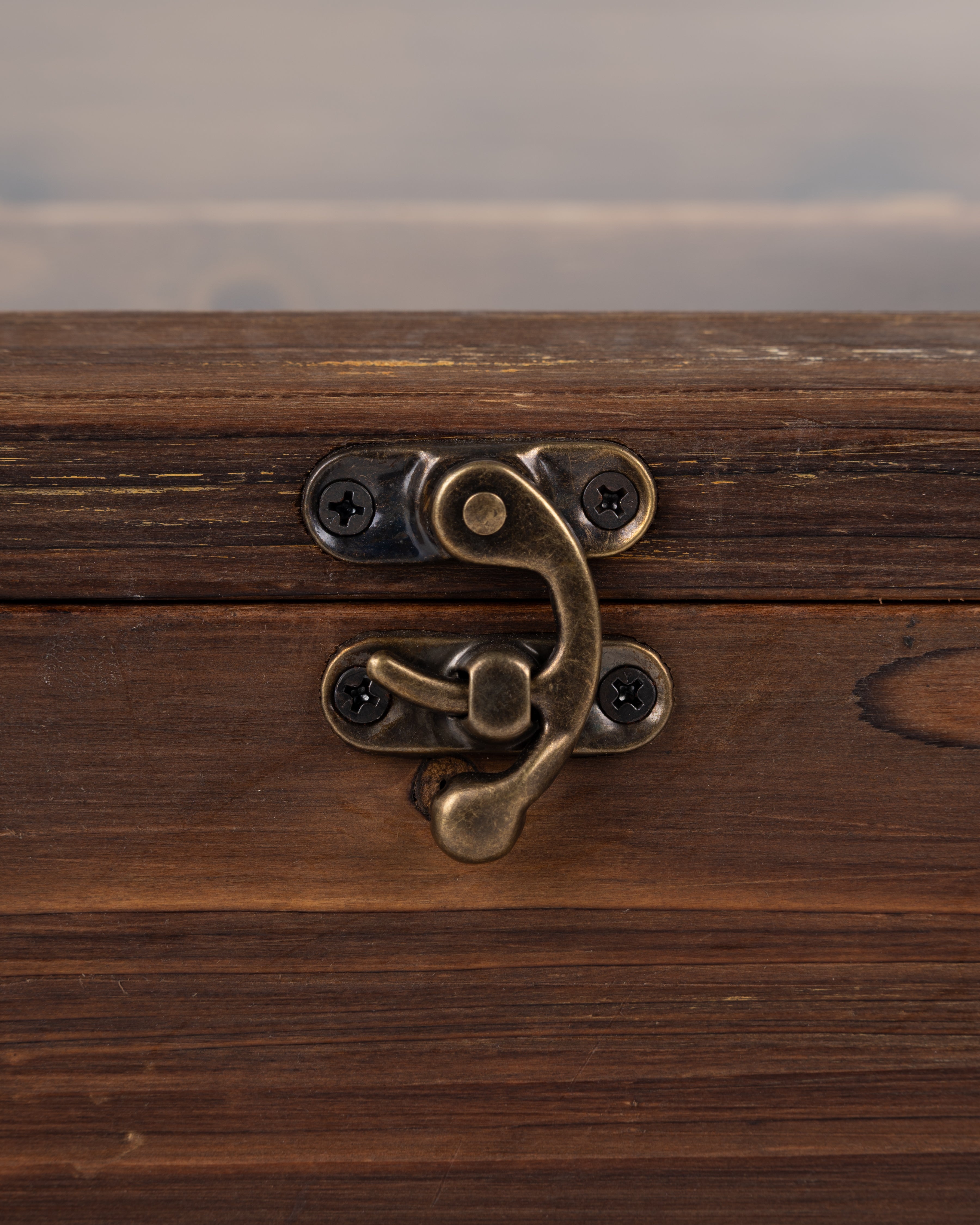 Greenhouse Terrarium Display Chest