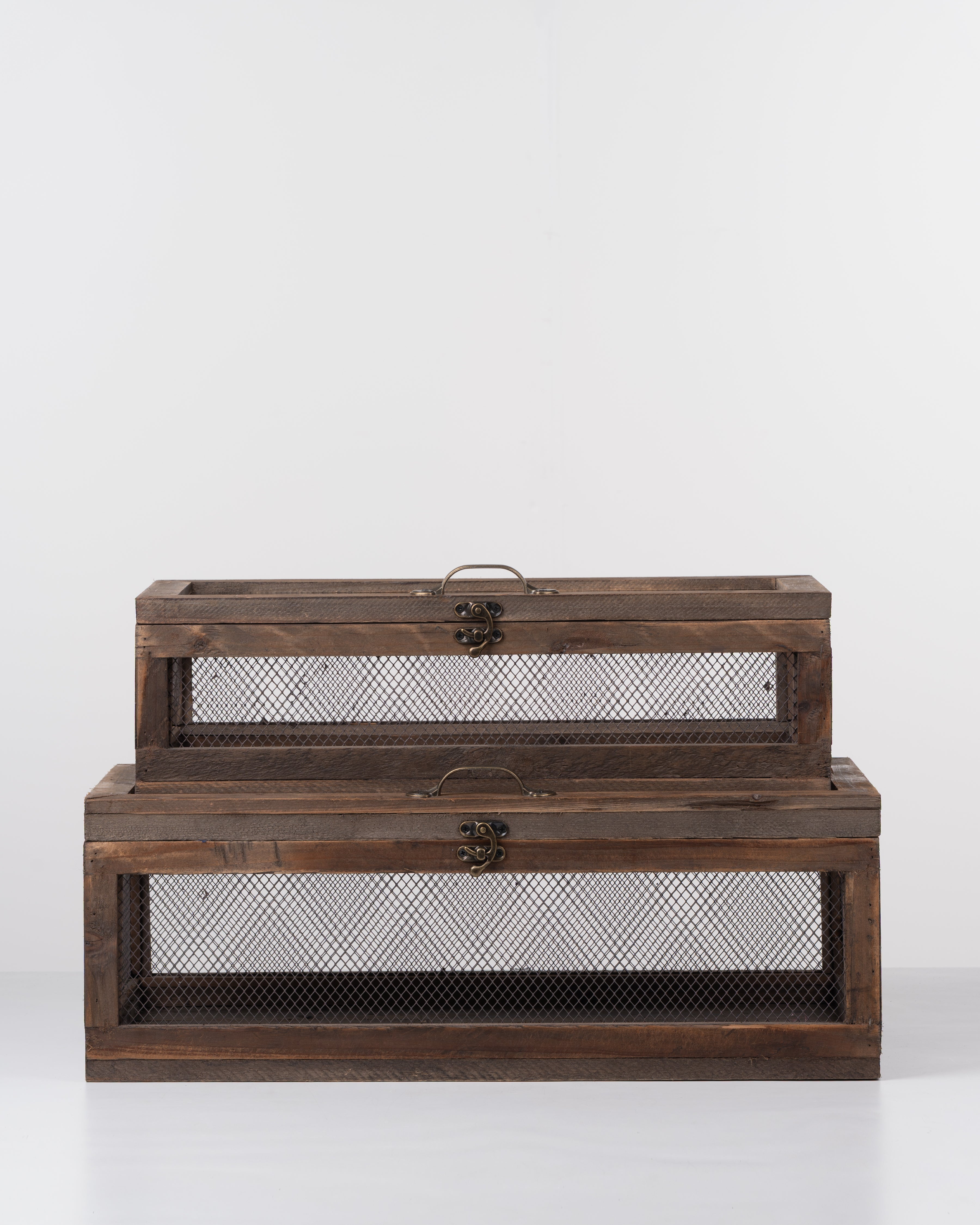 Greenhouse Botanica Box | Large