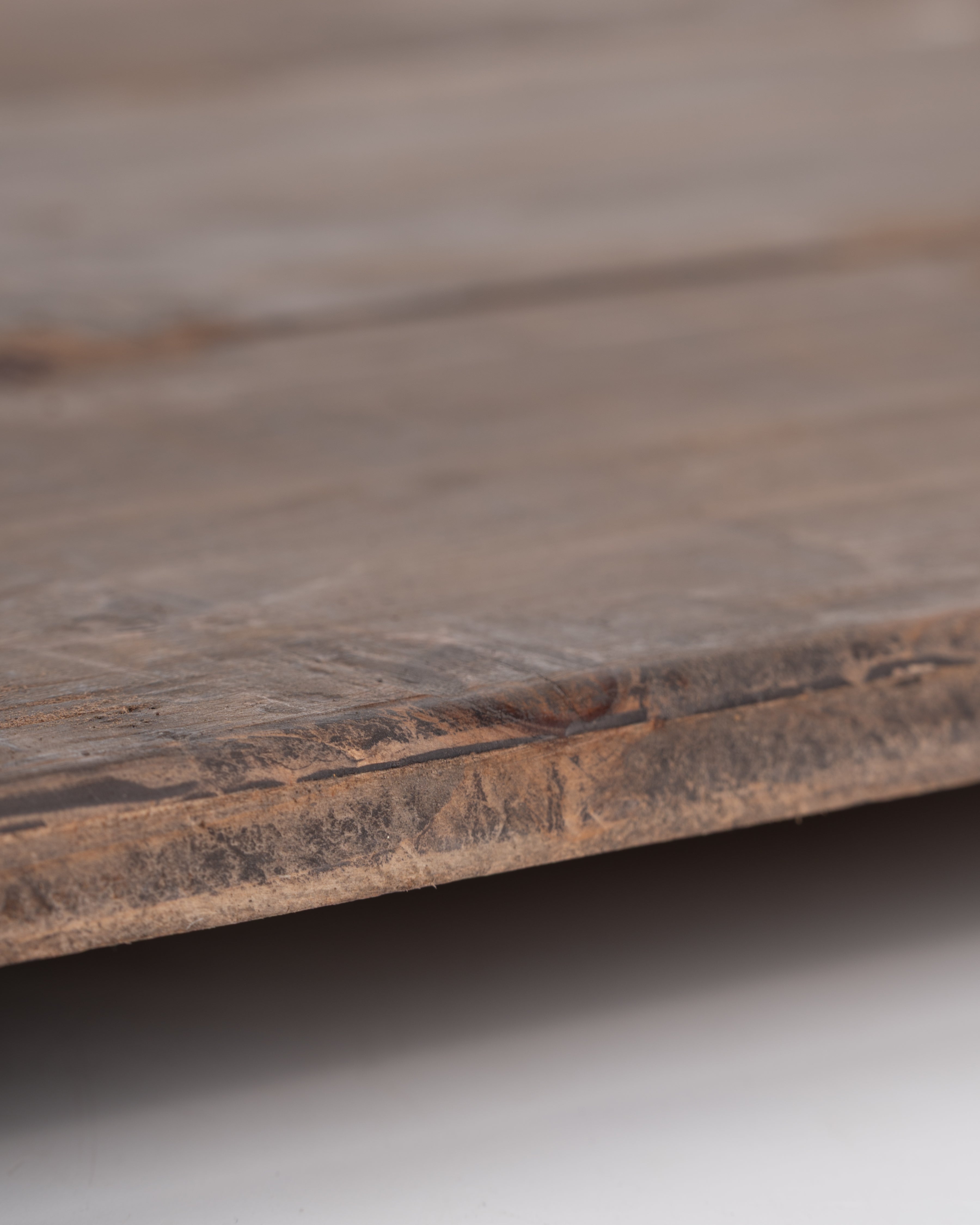 Botanist’s Tray | Large