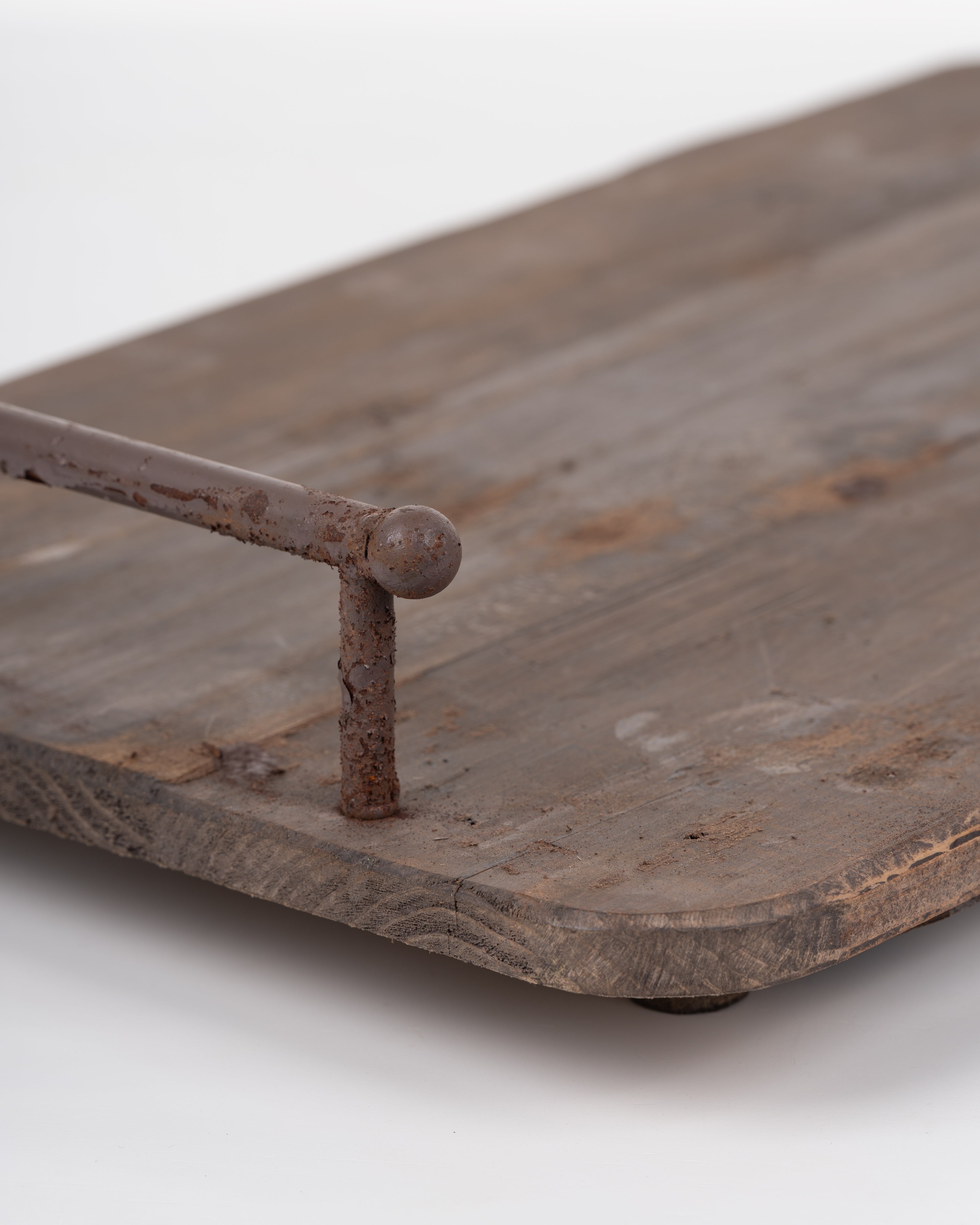 Botanist’s Tray | Large