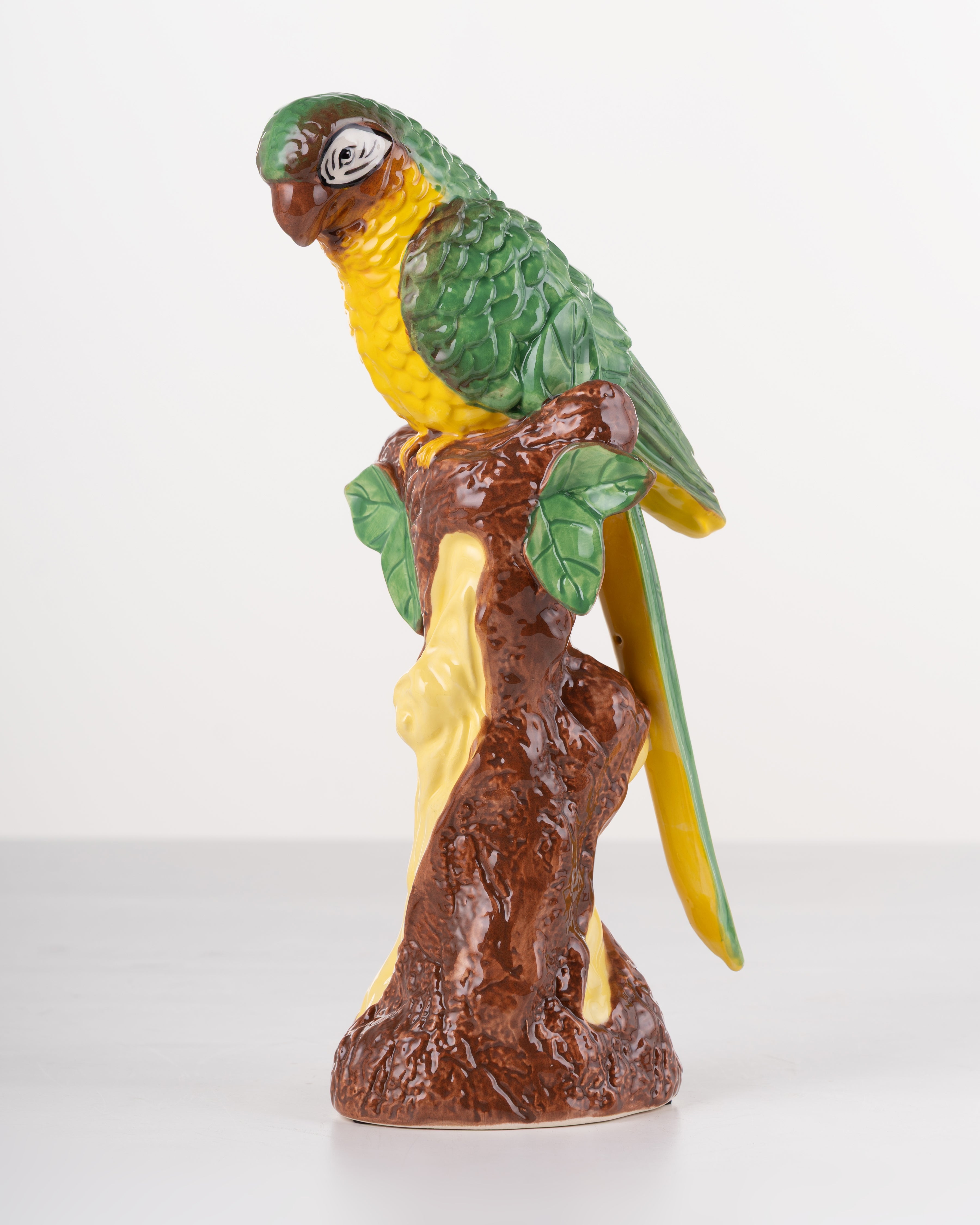 Tropical Canopy Parrot