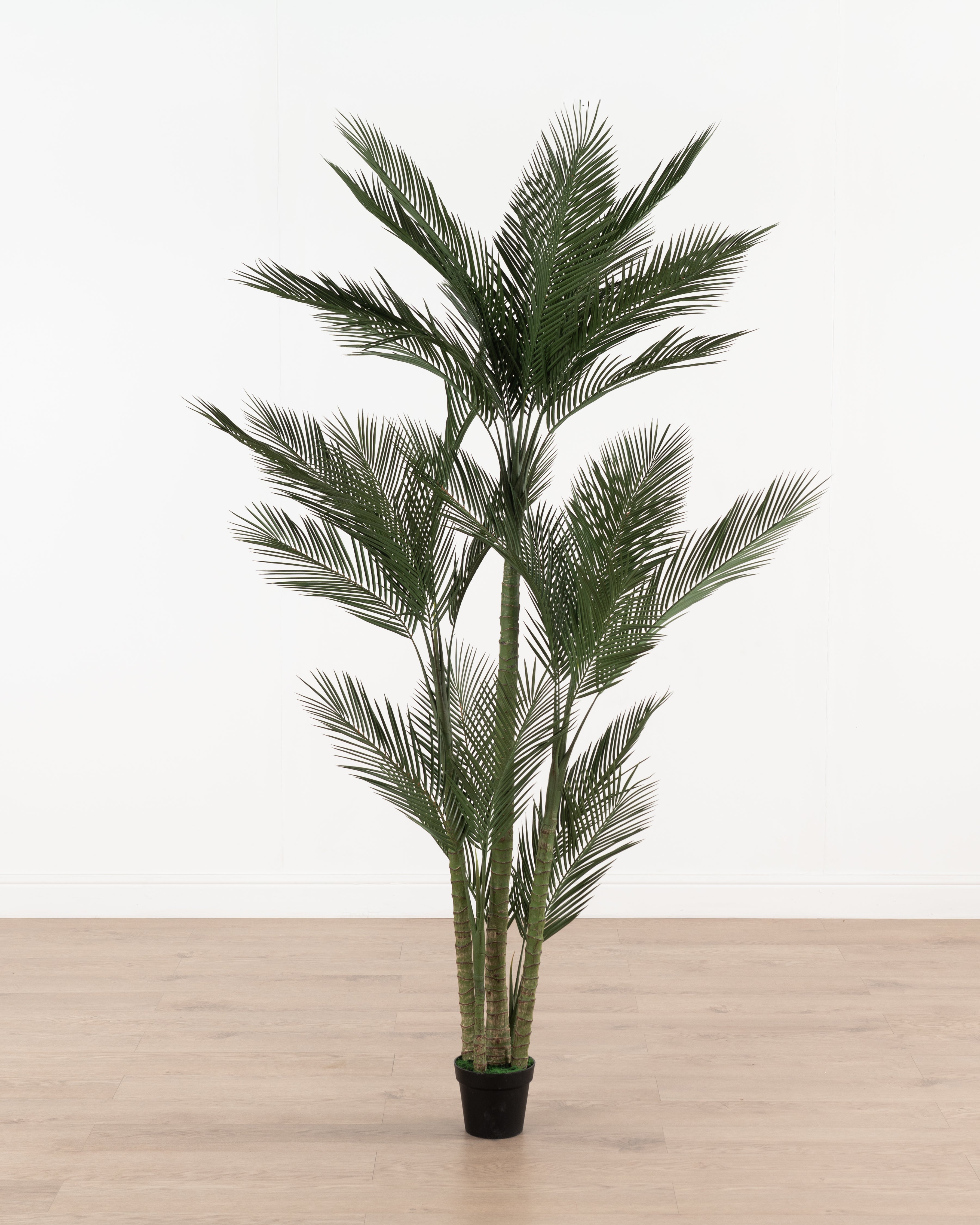 Faux Queen Palm Tree