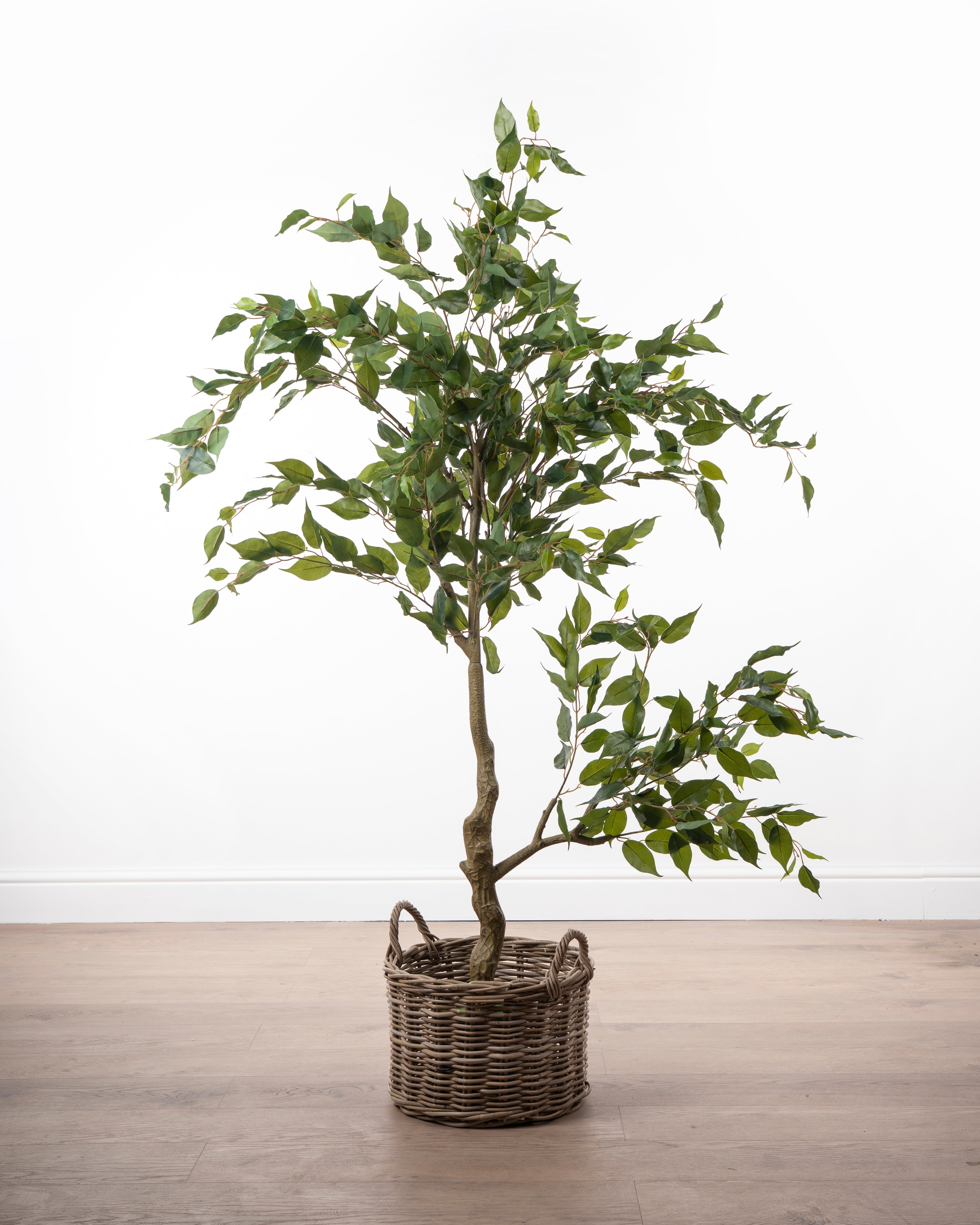 Faux Ficus Tree