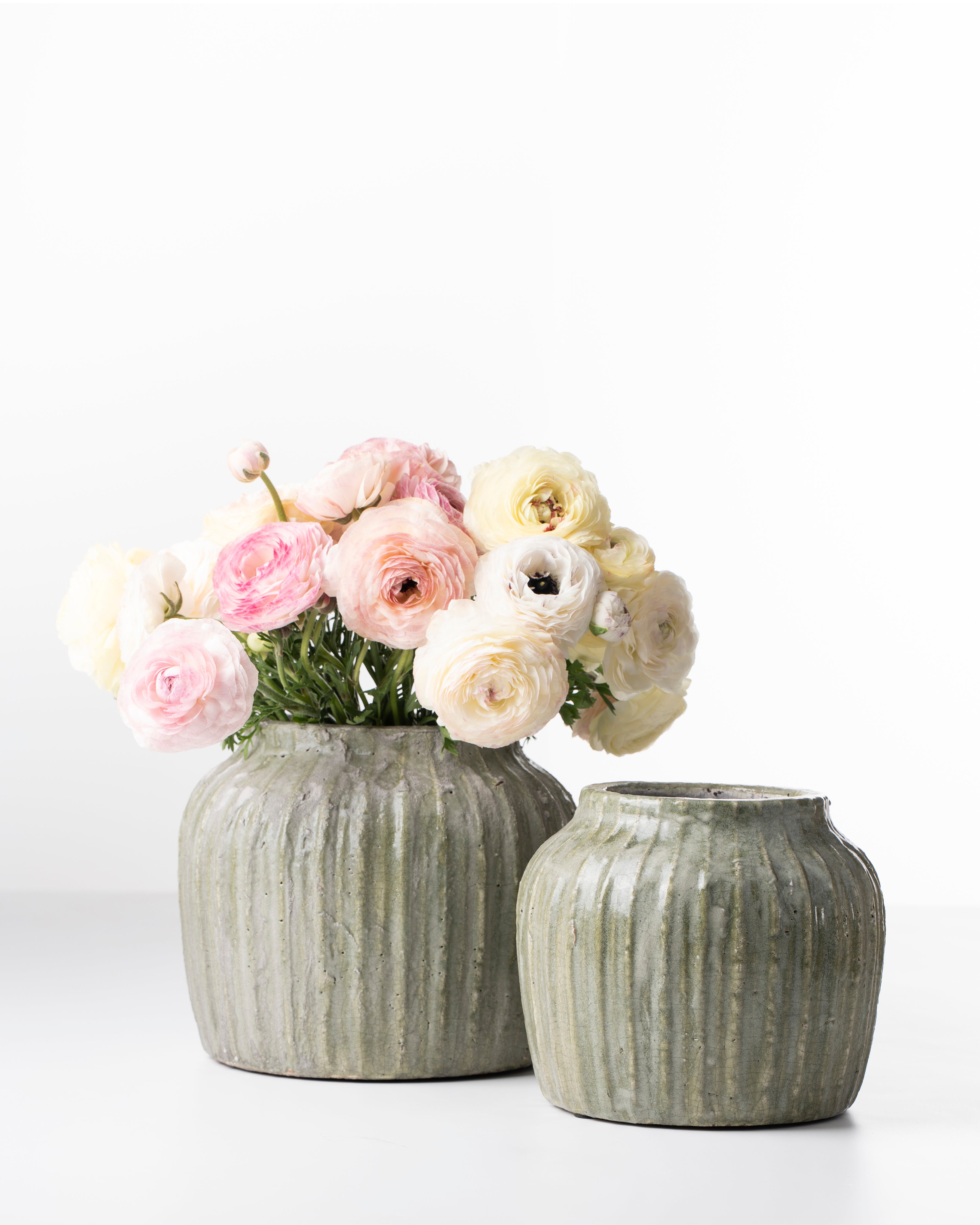 Earthy Green Ribbed Ceramic Pot | Medium