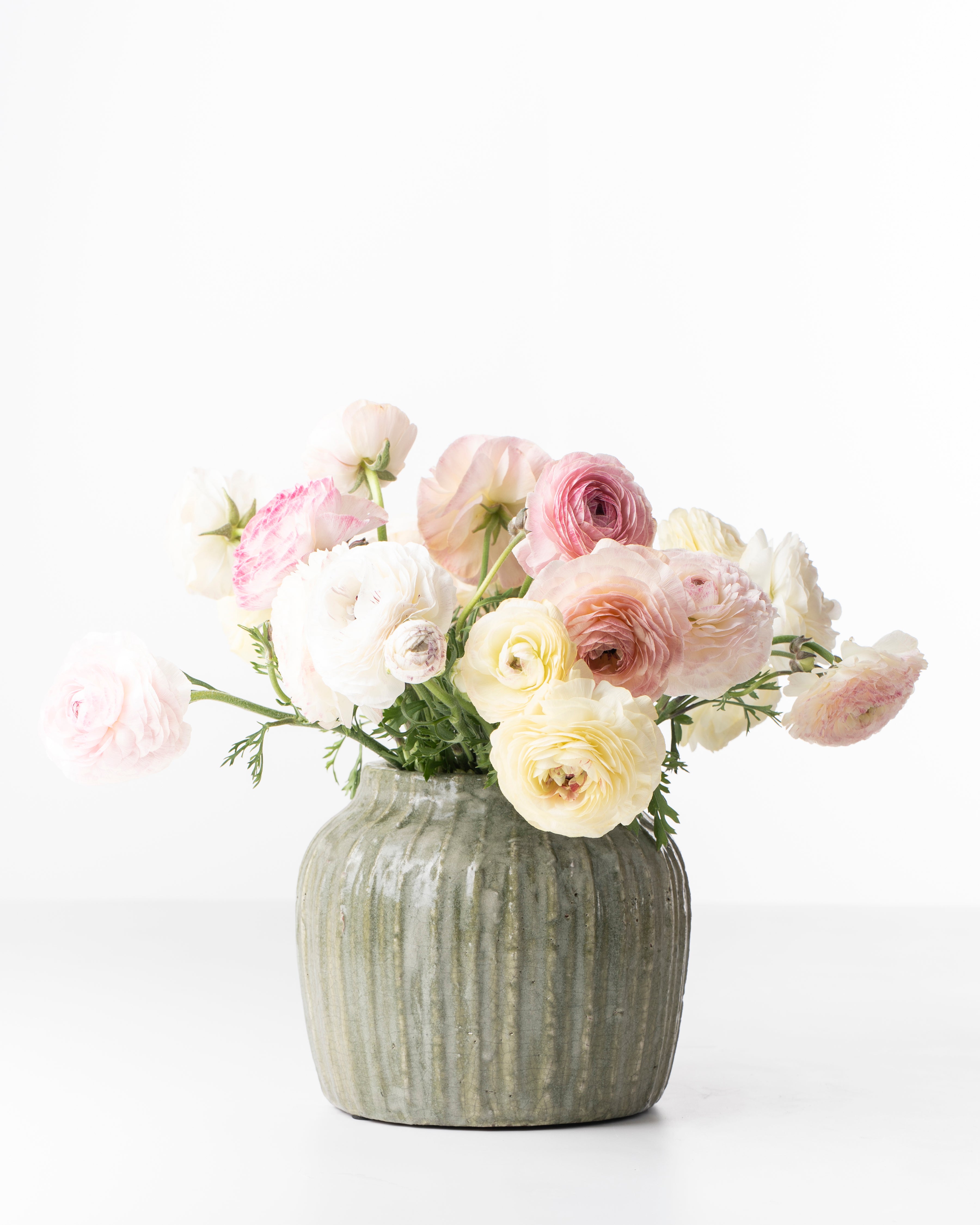 Earthy Green Ribbed Ceramic Pot | Medium