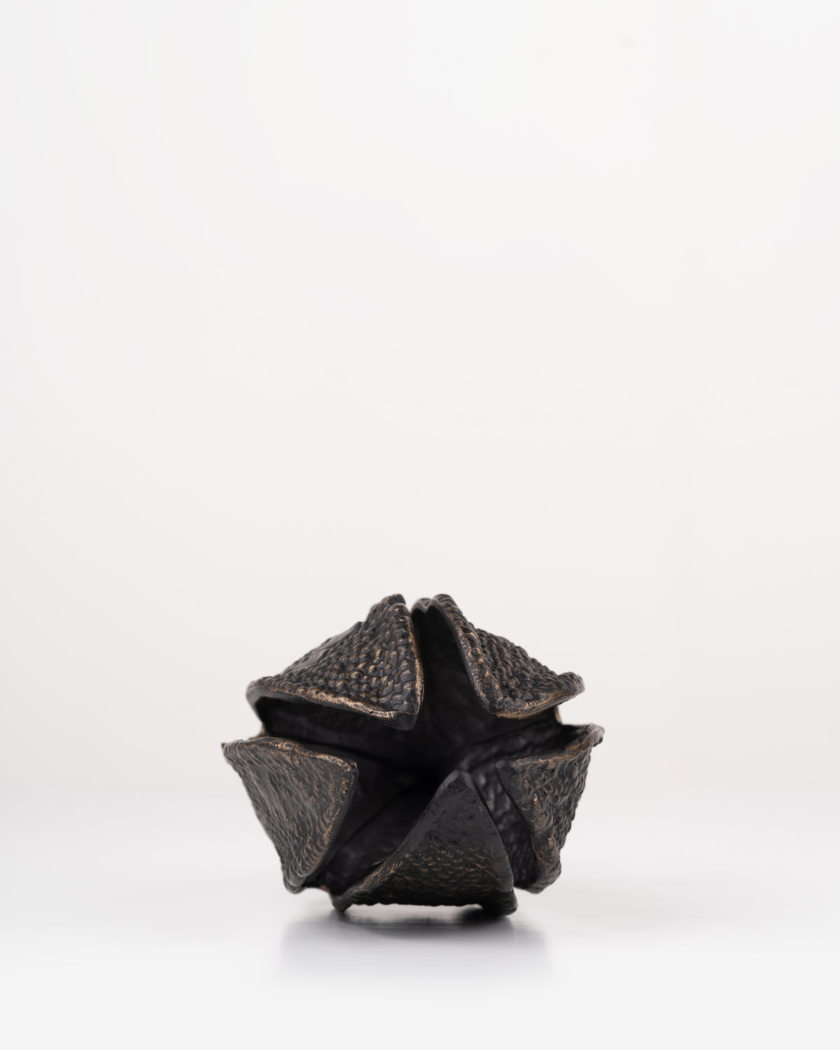 Zambezi Seed Pod Sculpture | Small