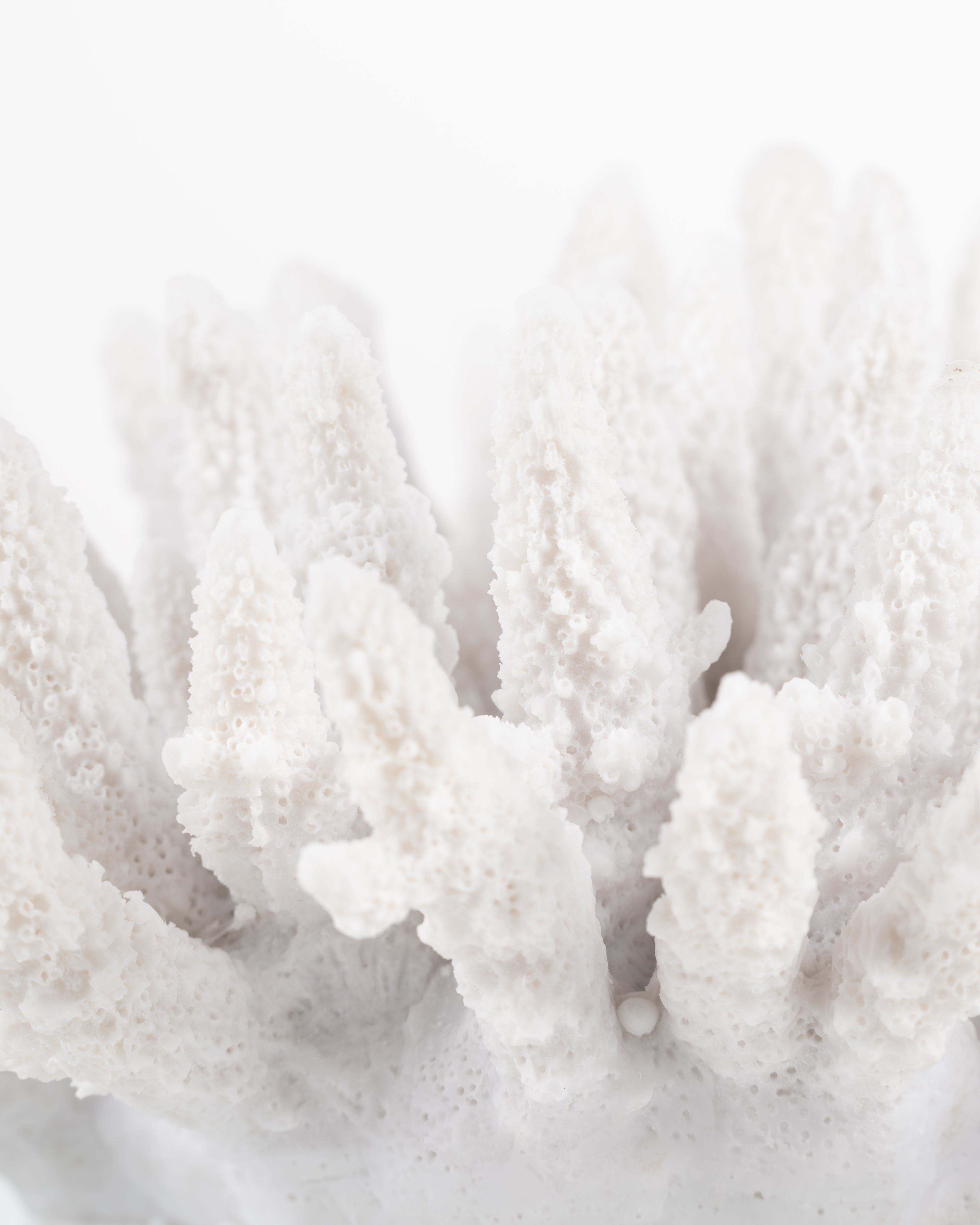 Faux White Coral on Stand