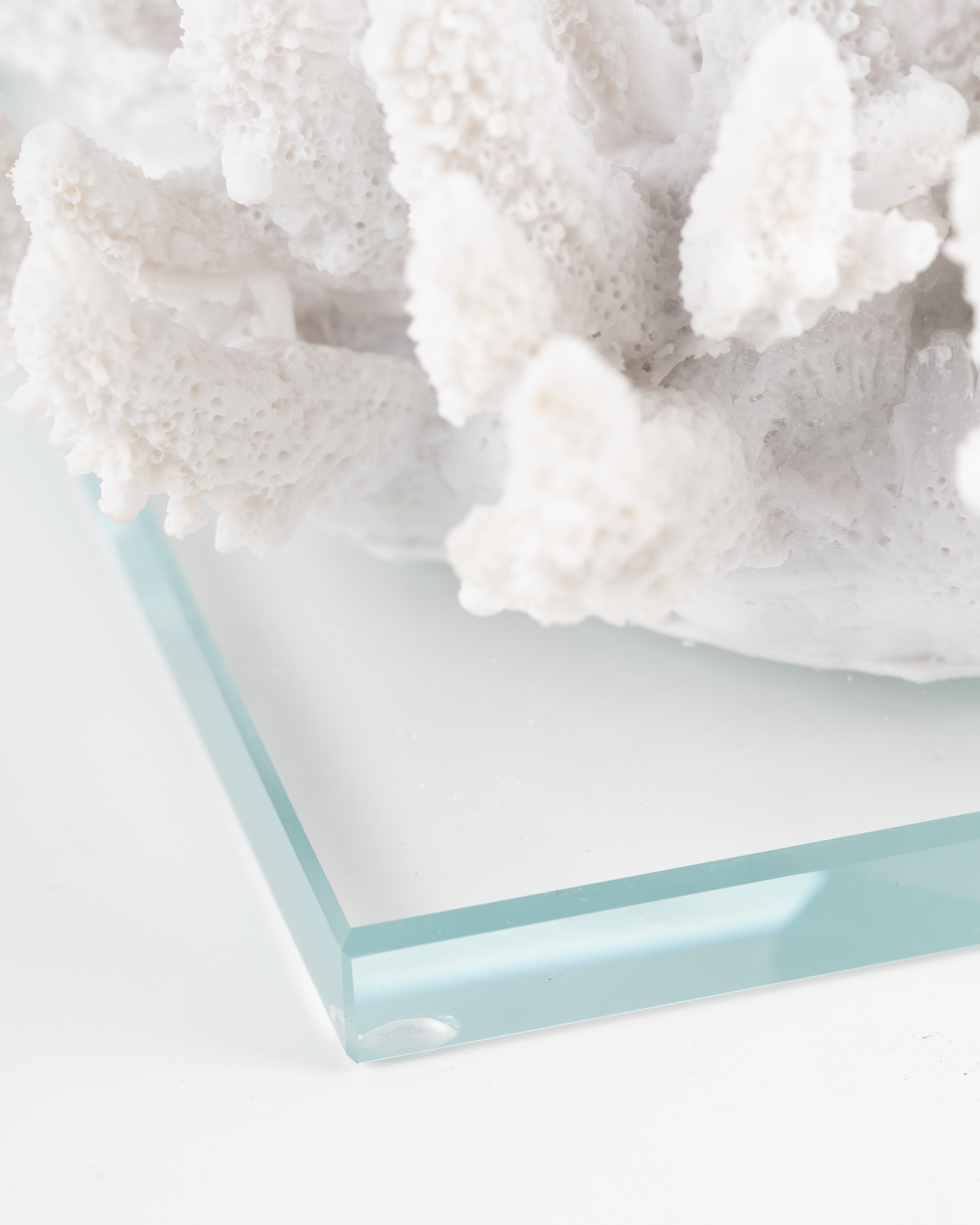 Faux White Coral on Stand