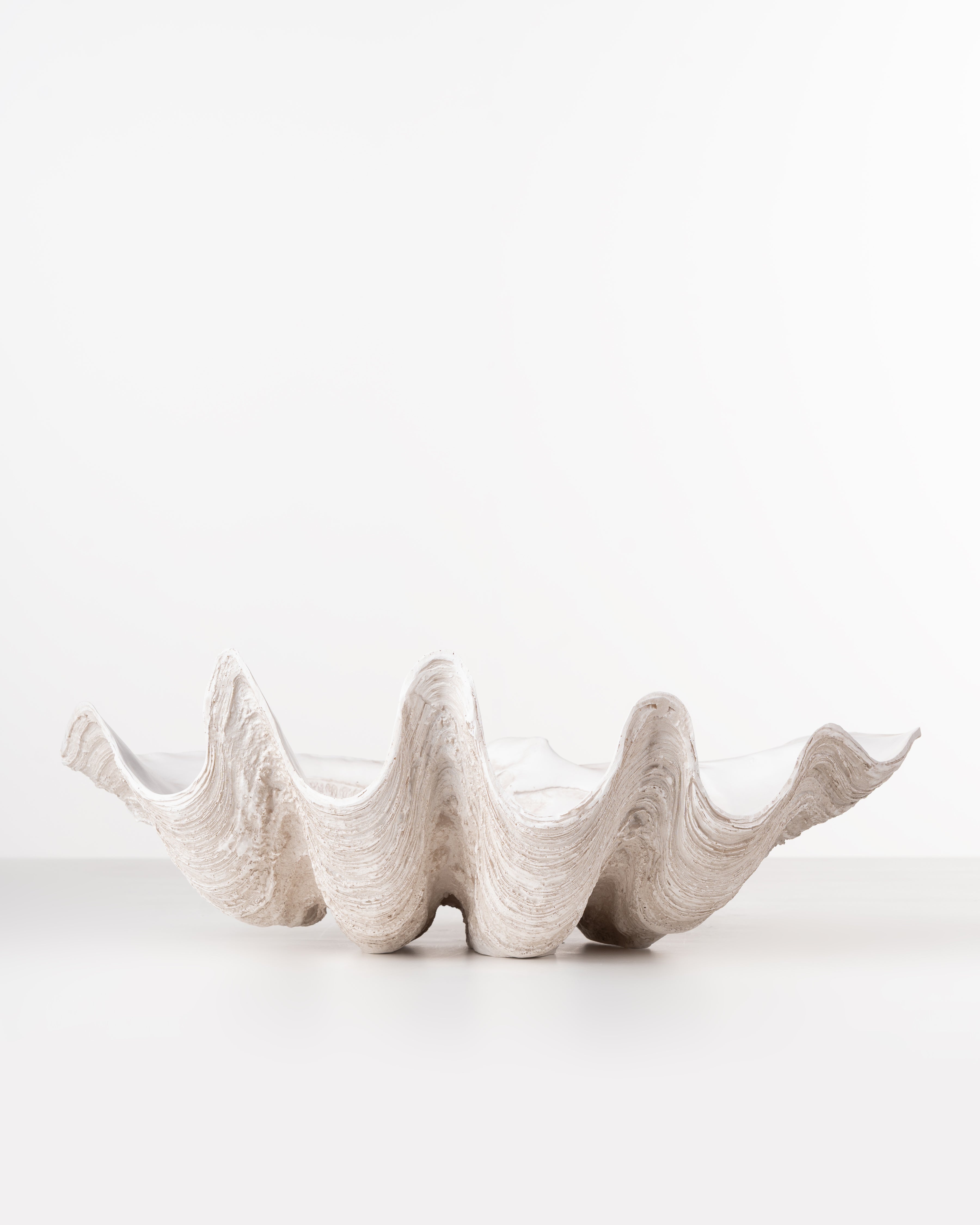 Ivory Clam Shell Bowl