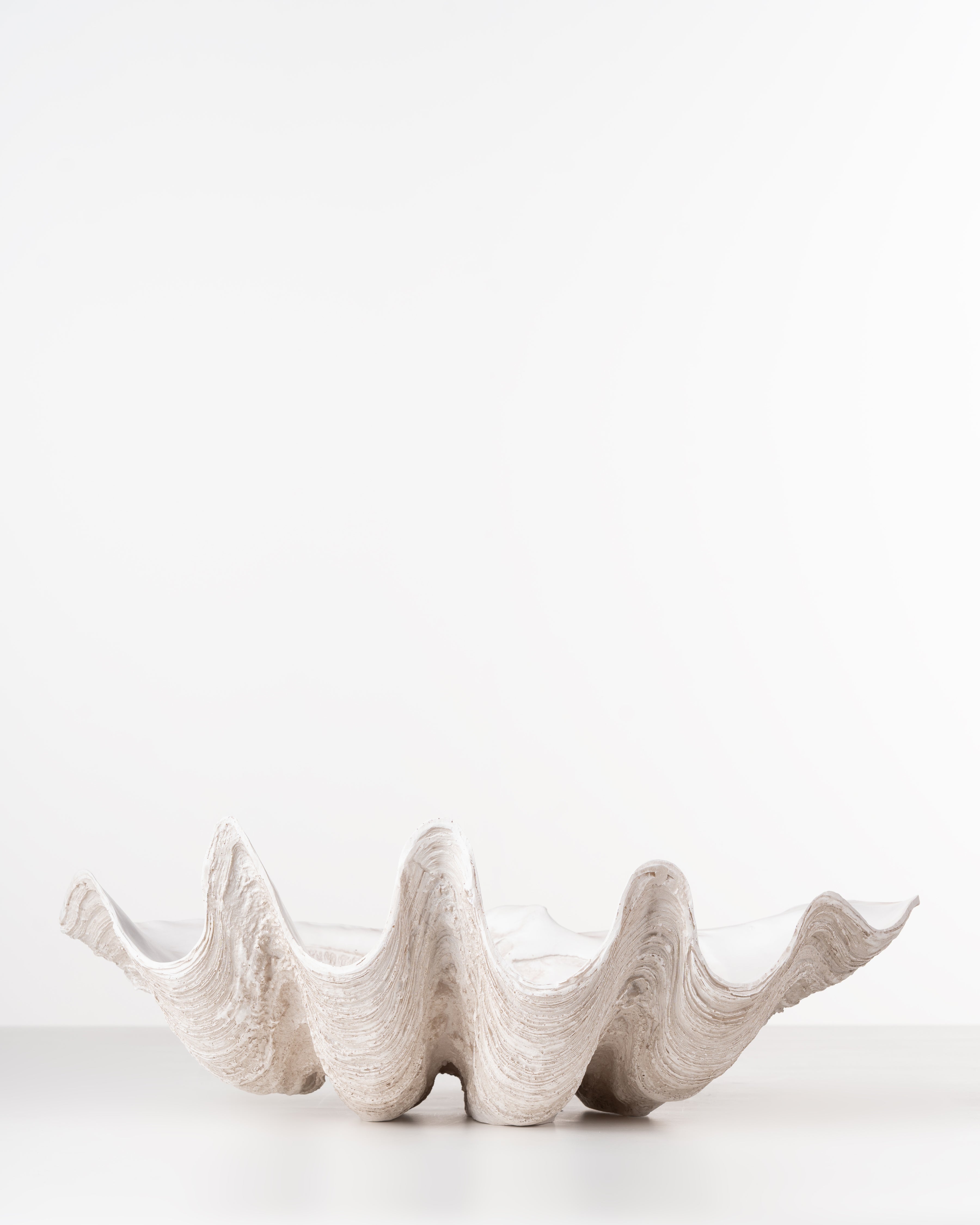 Ivory Clam Shell Bowl