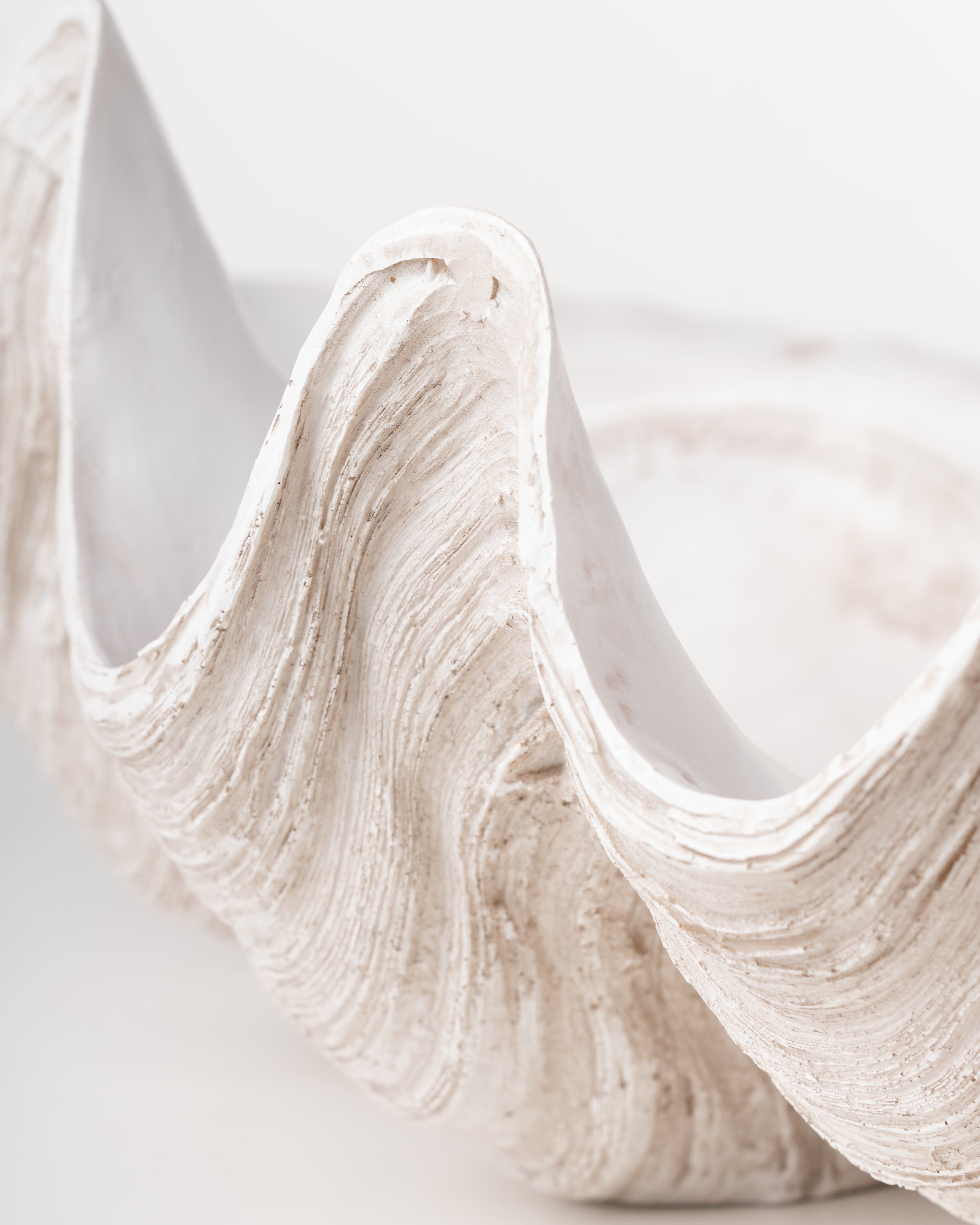 Ivory Clam Shell Bowl