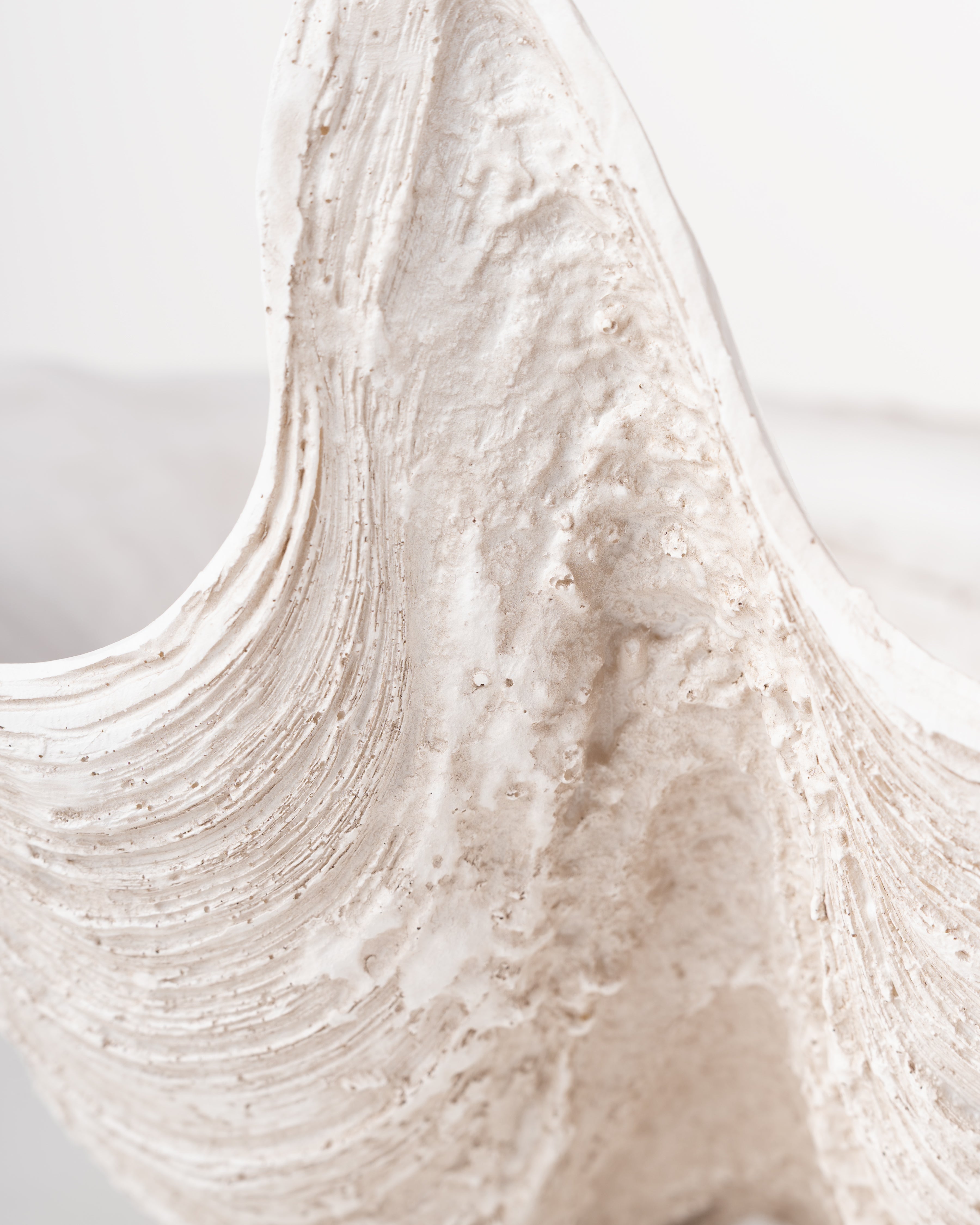 Ivory Clam Shell Bowl