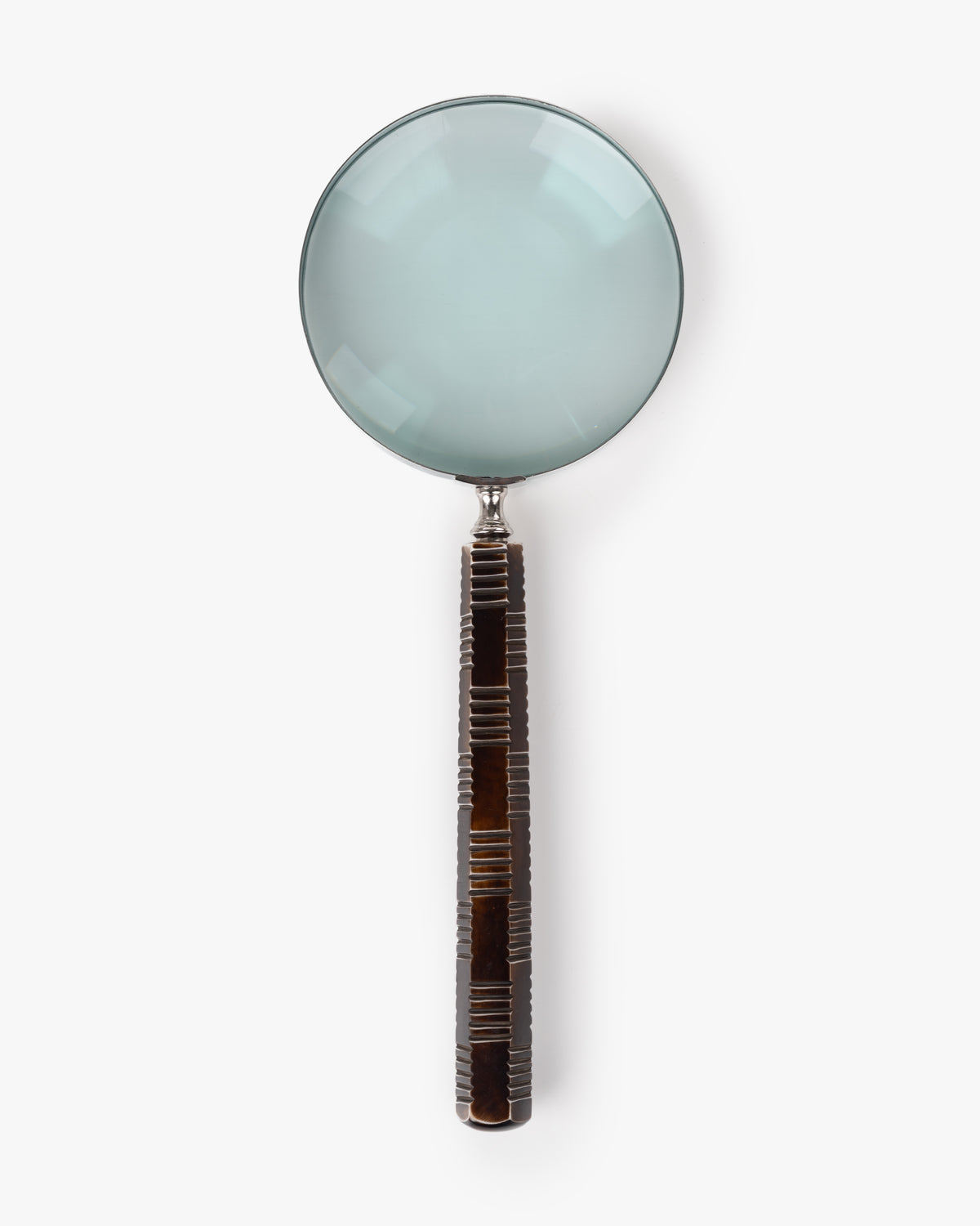 Collector's Cove Explorer Magnifying Glass
