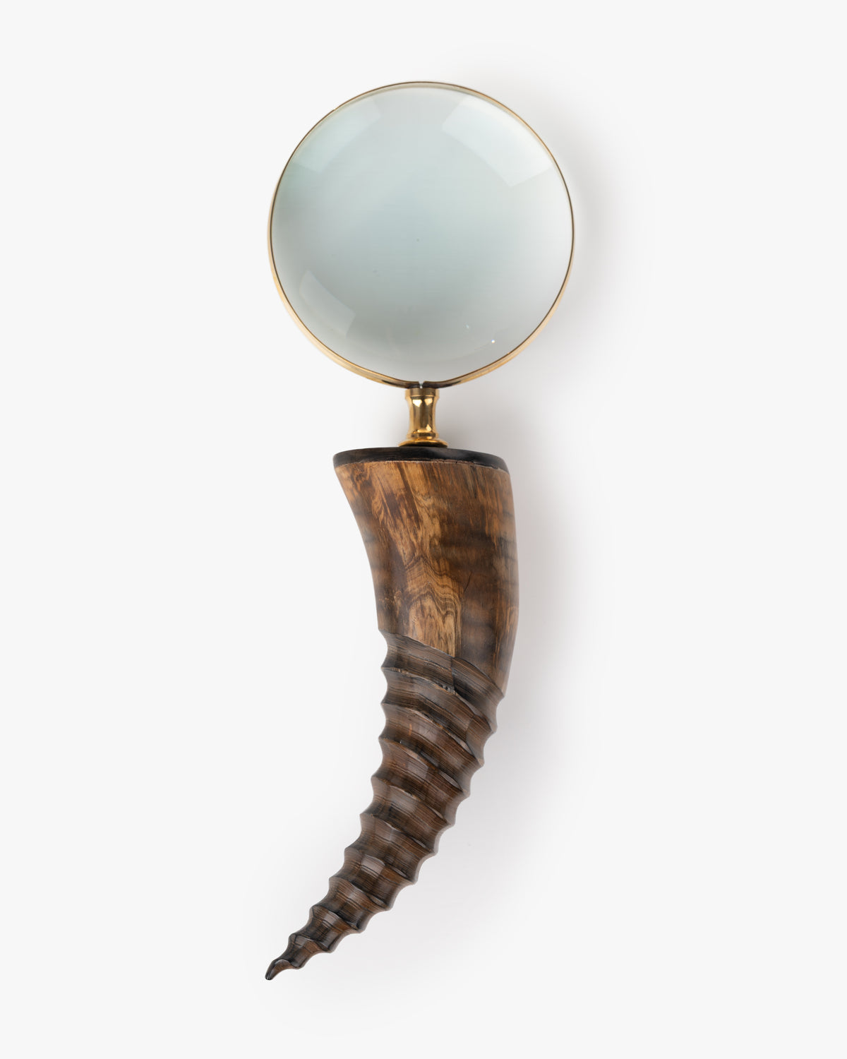 Collector's Cove Curio Magnifying Glass