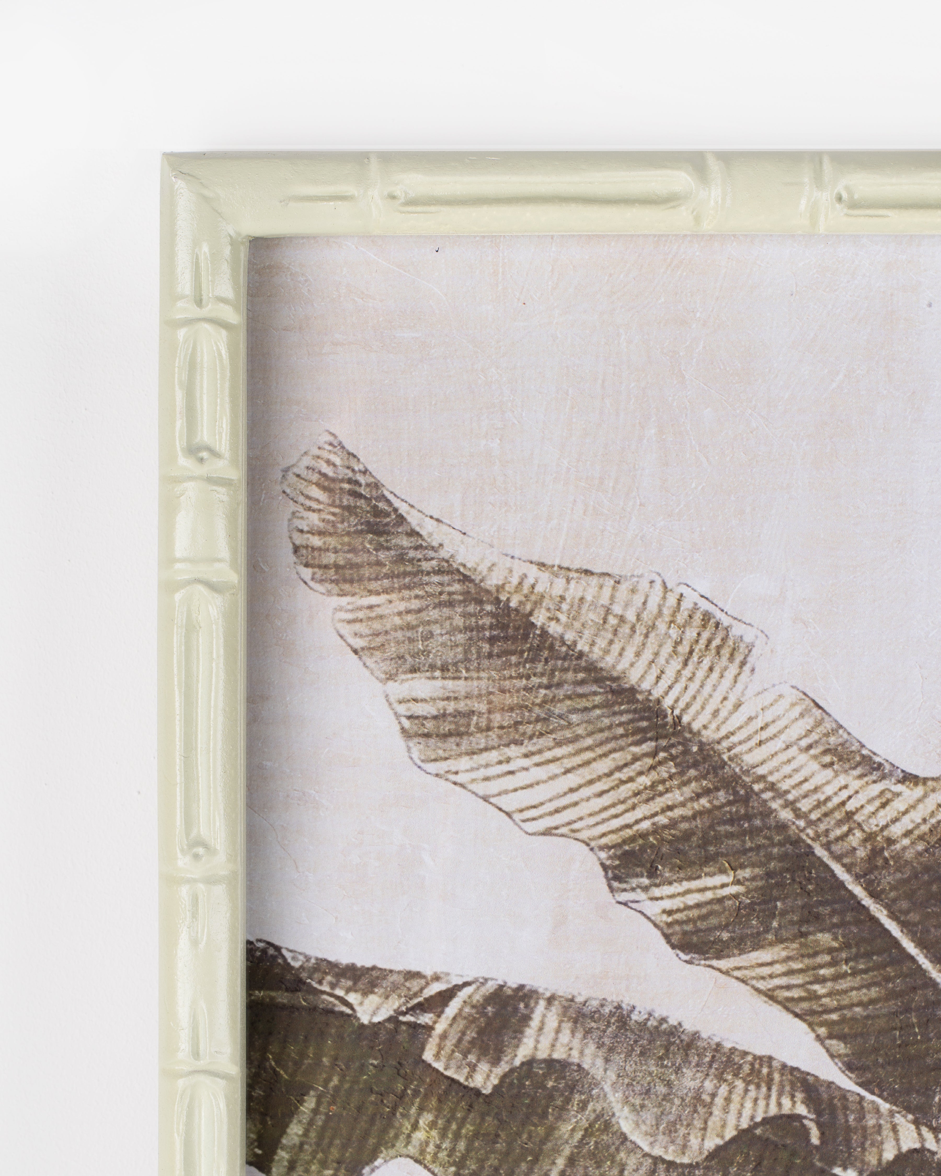 Banana Tree Framed Wall Art A