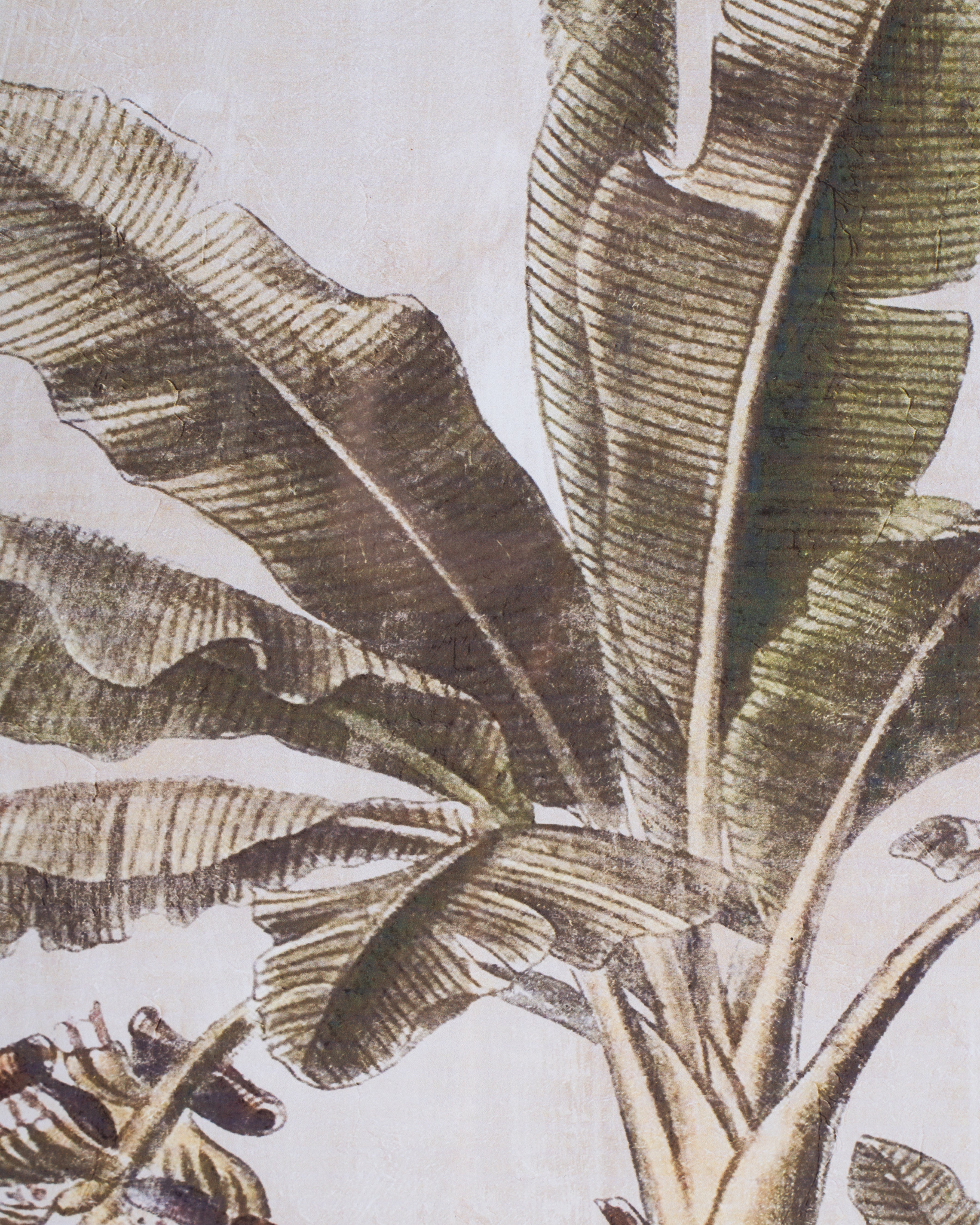 Banana Tree Framed Wall Art A