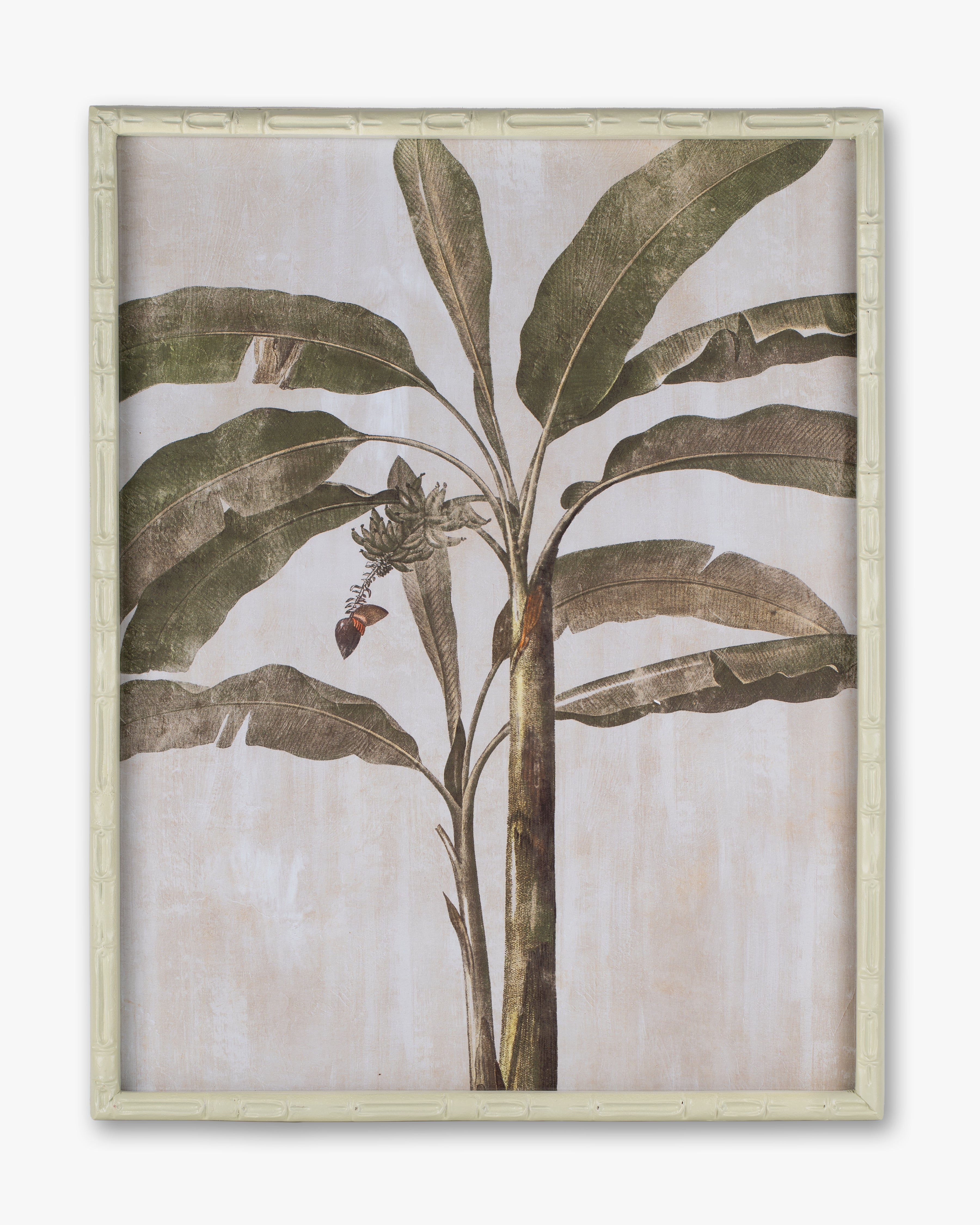 Banana Tree Framed Wall Art B