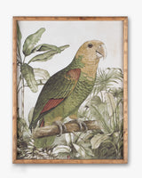 Parrot Framed Wall Art A