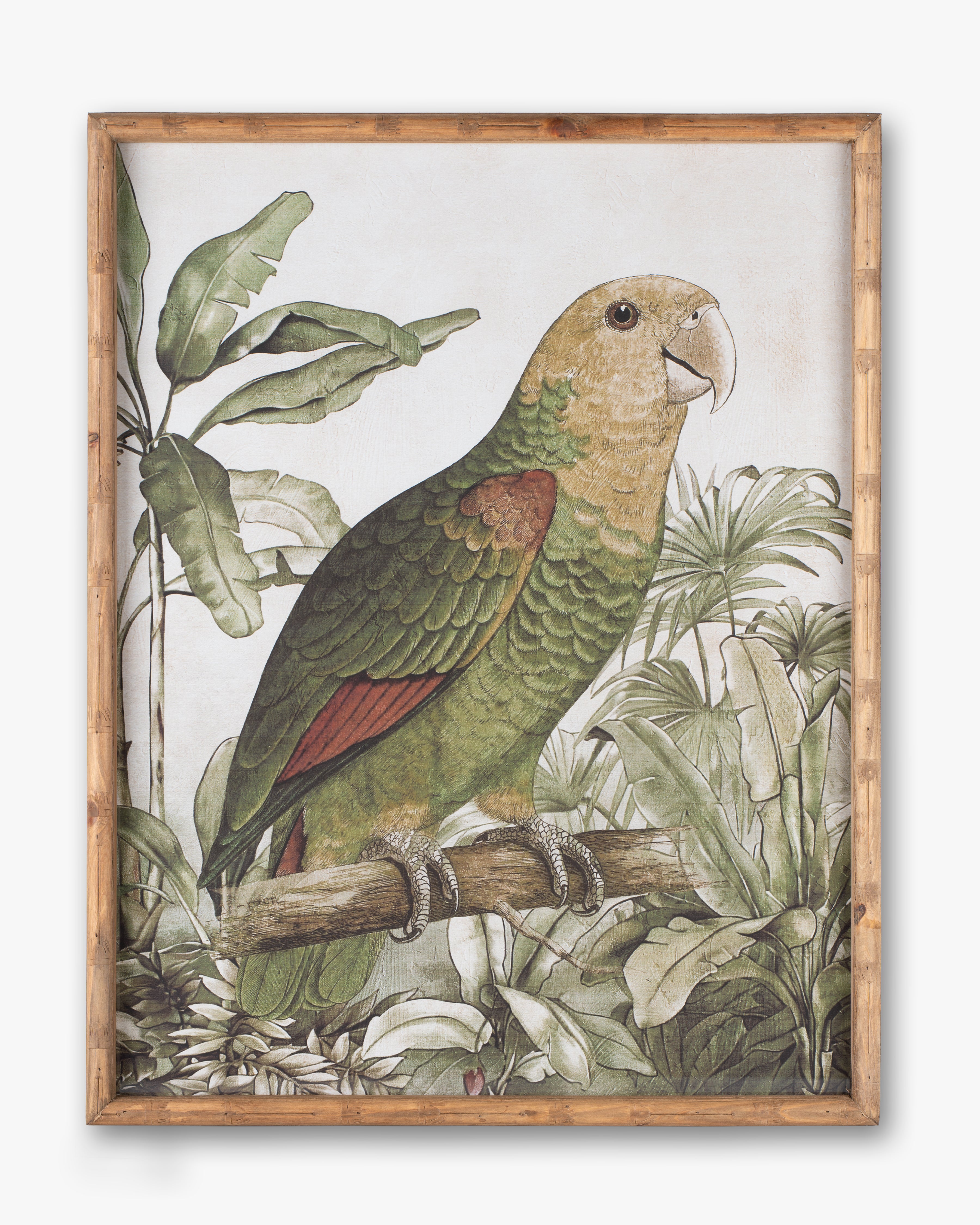 Parrot Framed Wall Art A