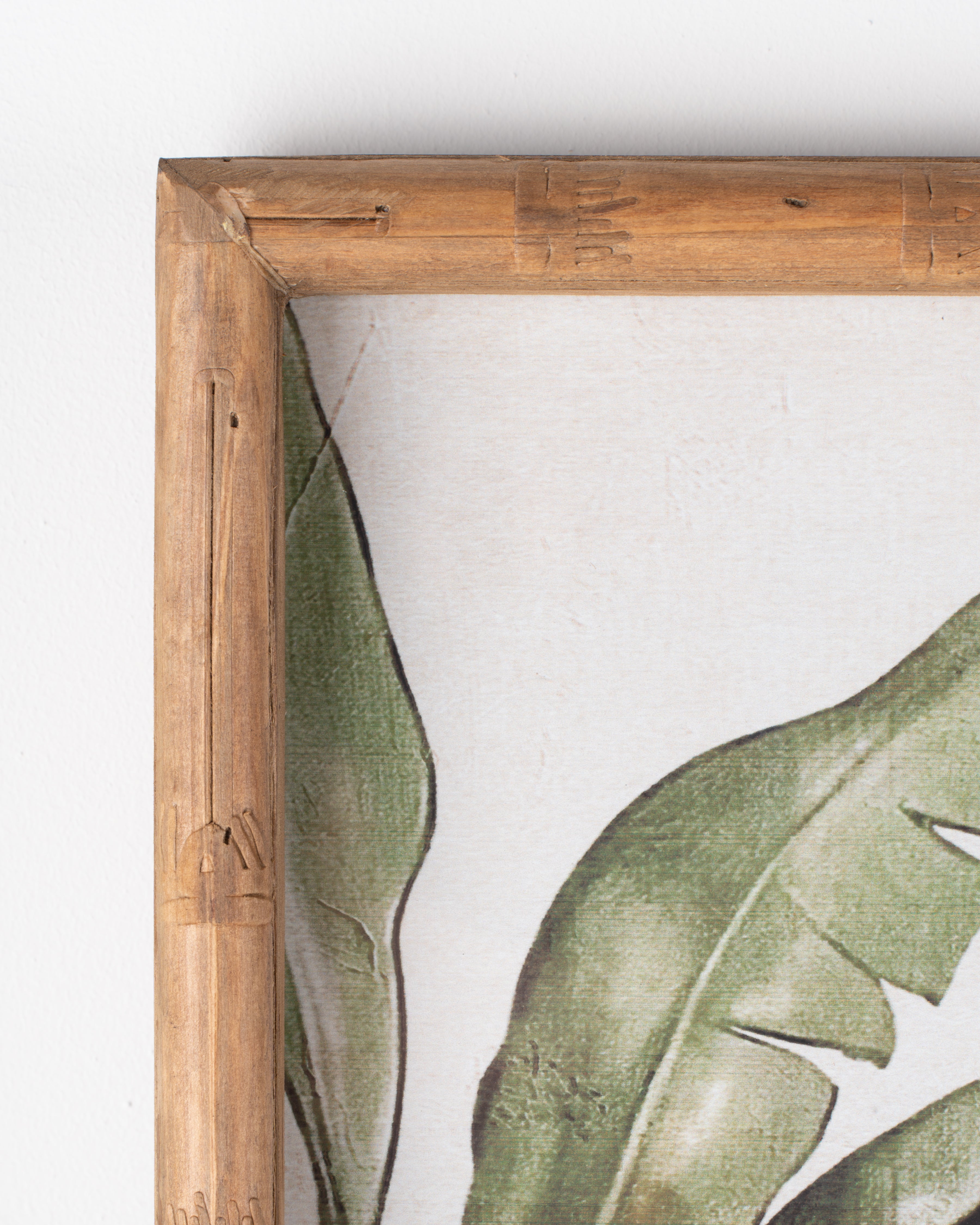 Parrot Framed Wall Art A