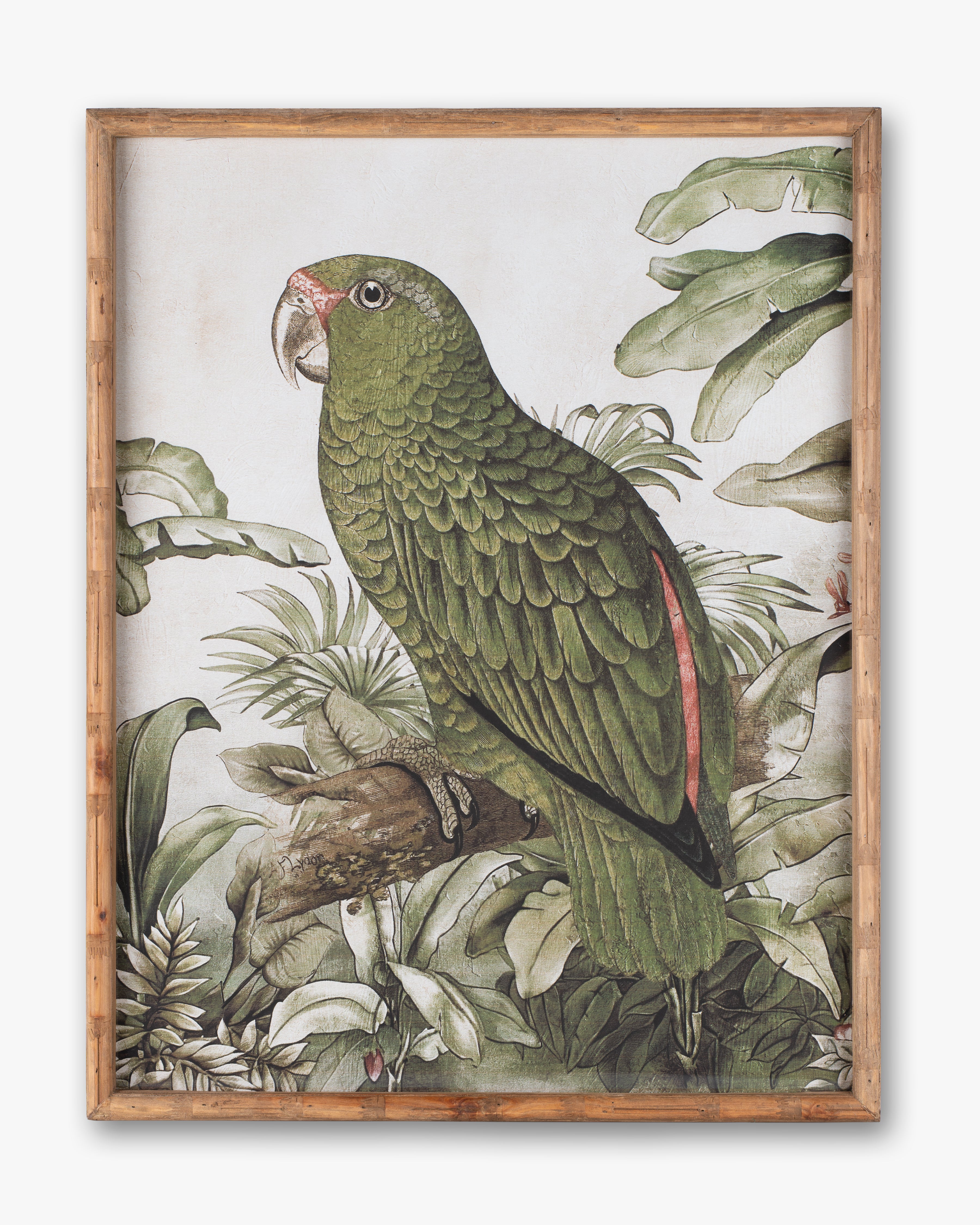 Parrot Framed Wall Art B