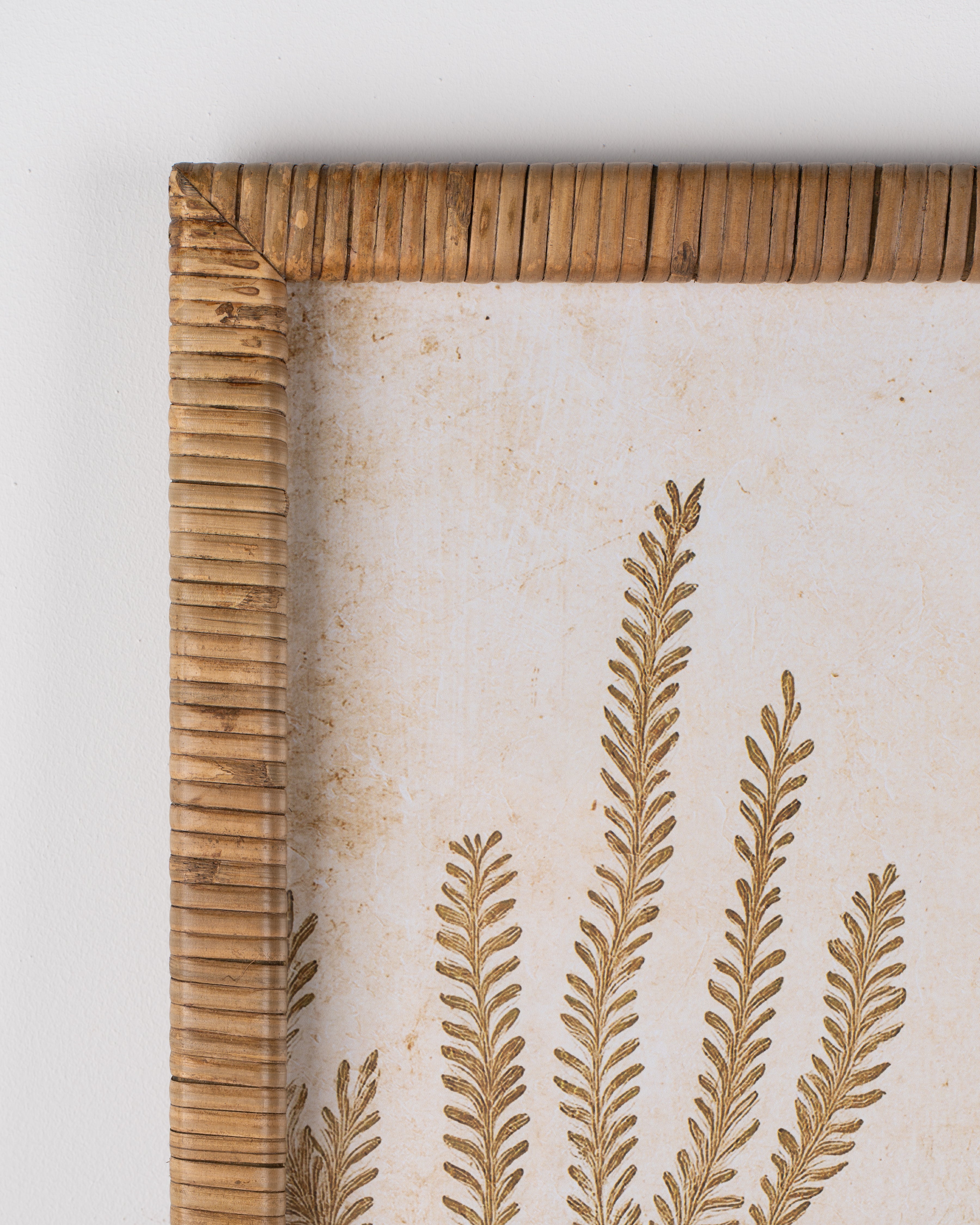 Fish Framed Wall Art A