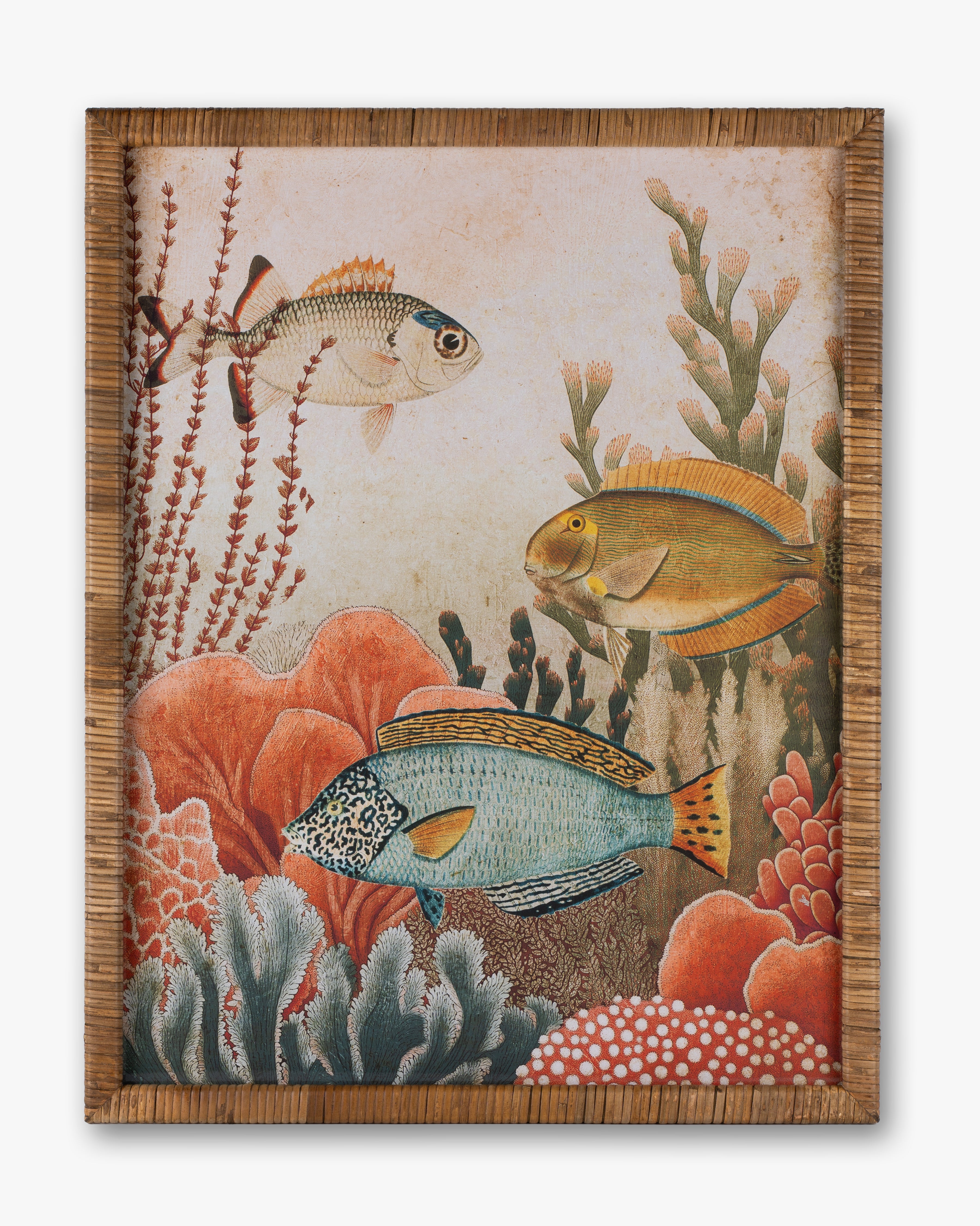 Fish Framed Wall Art B