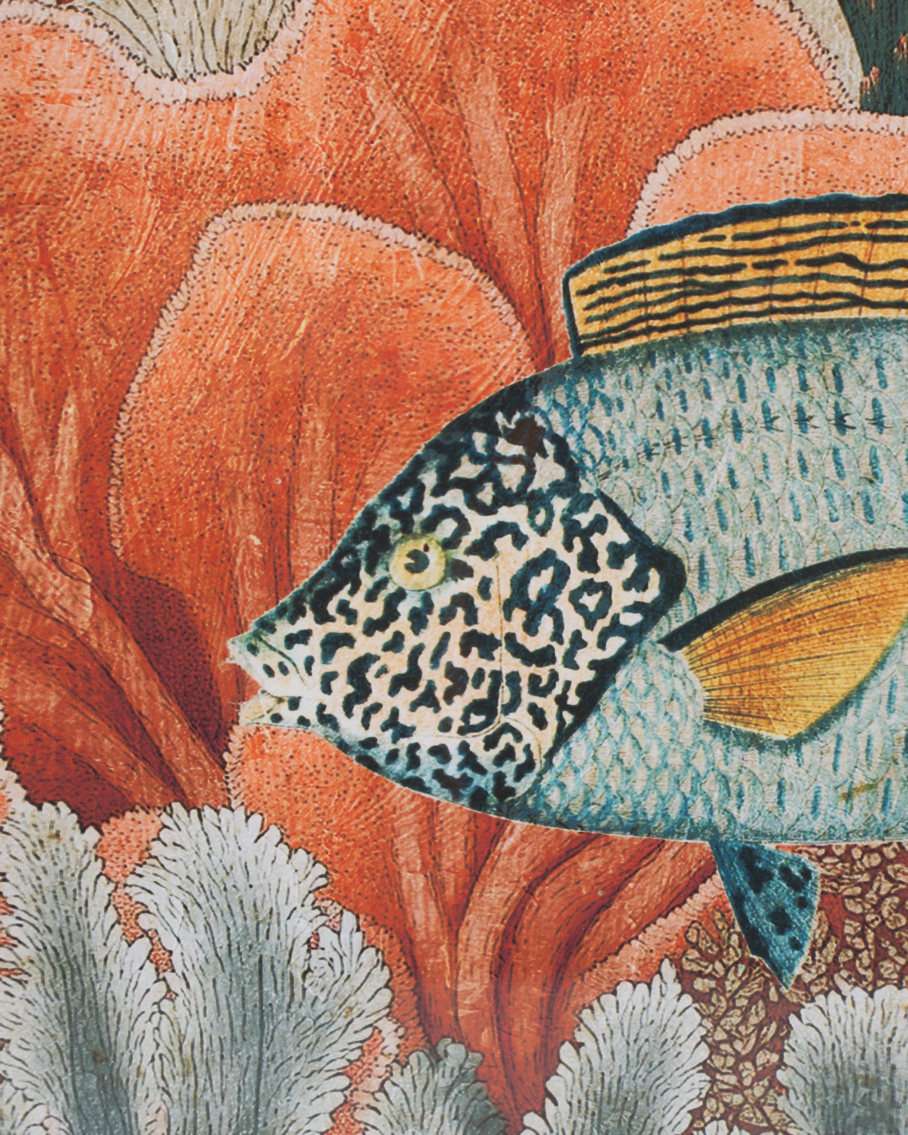 Fish Framed Wall Art B