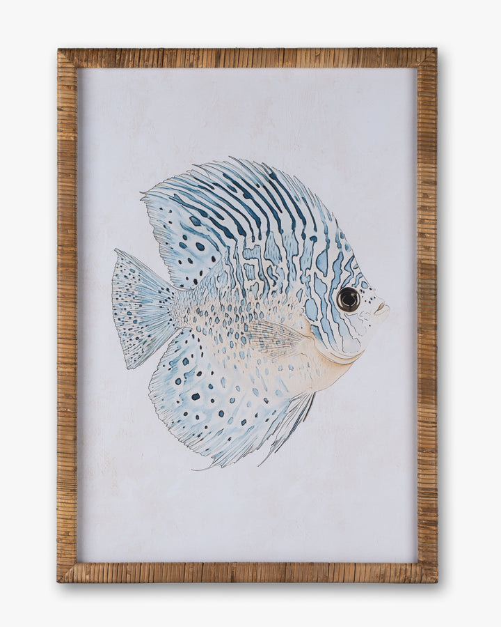Fish Framed Wall Art A